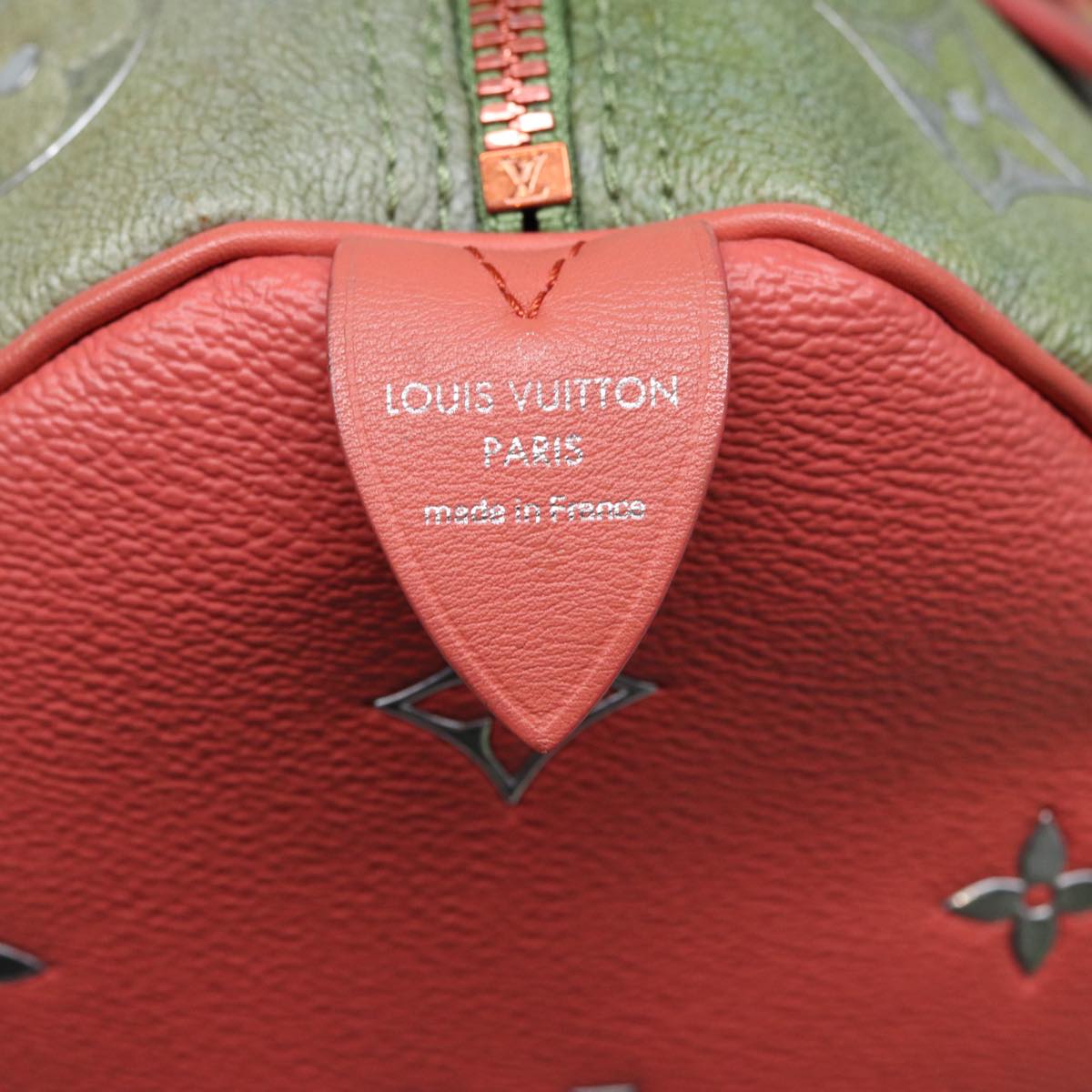 Louis Vuitton Speedy 30 Multicolour Canvas Handbag