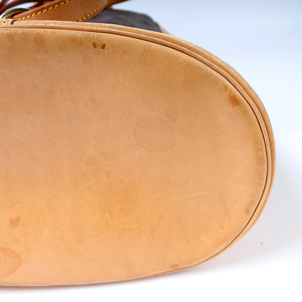 Randonee Backpack PM Monogram