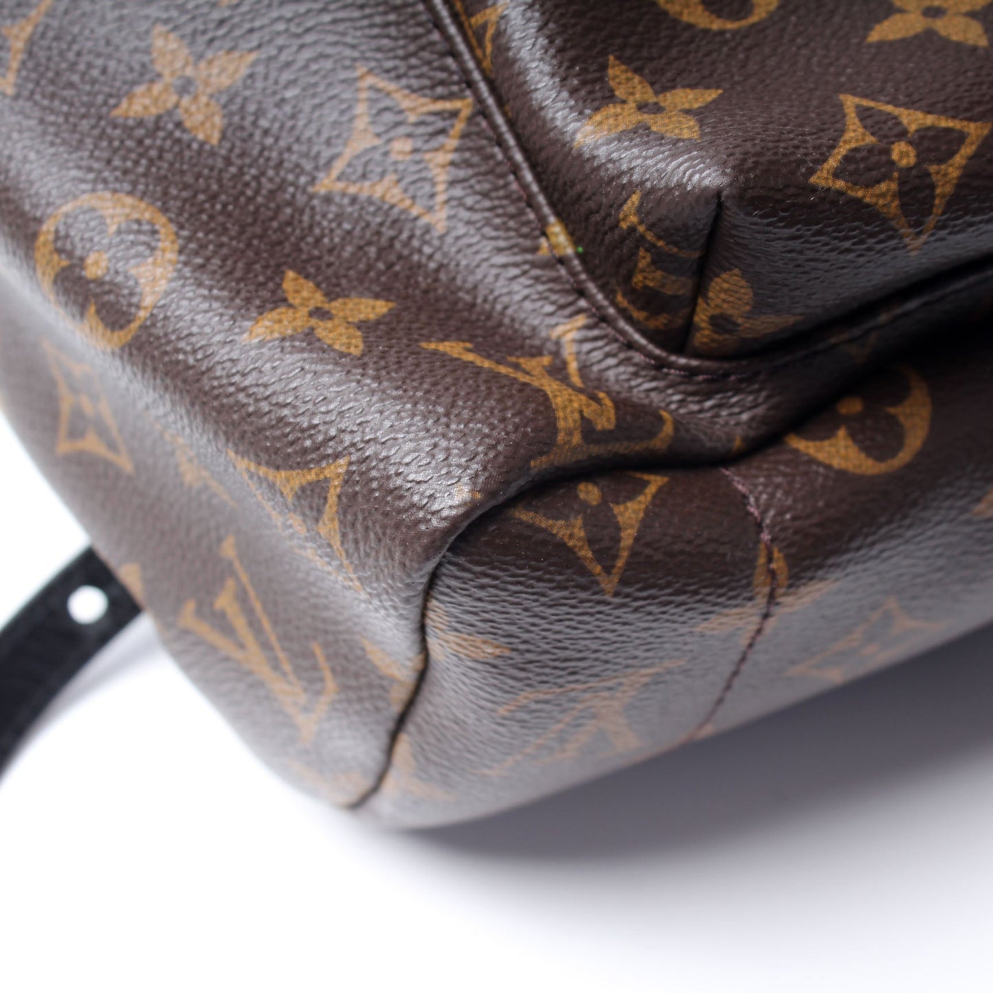 Palm Springs Backpack MM Monogram