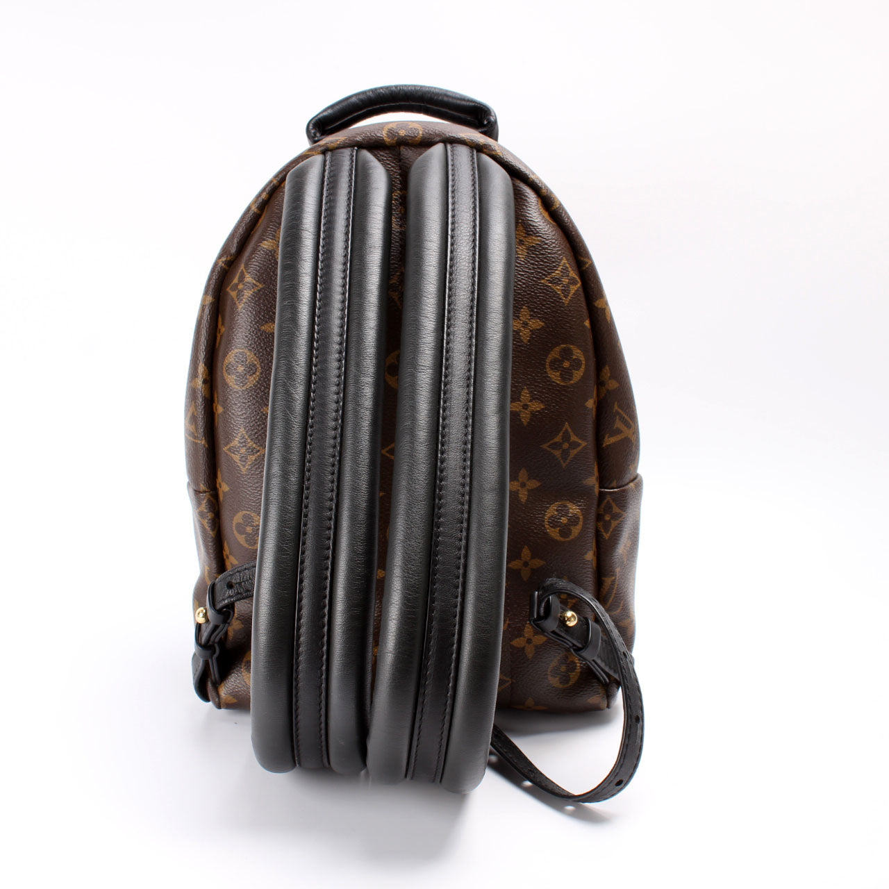 Palm Springs Backpack PM Monogram