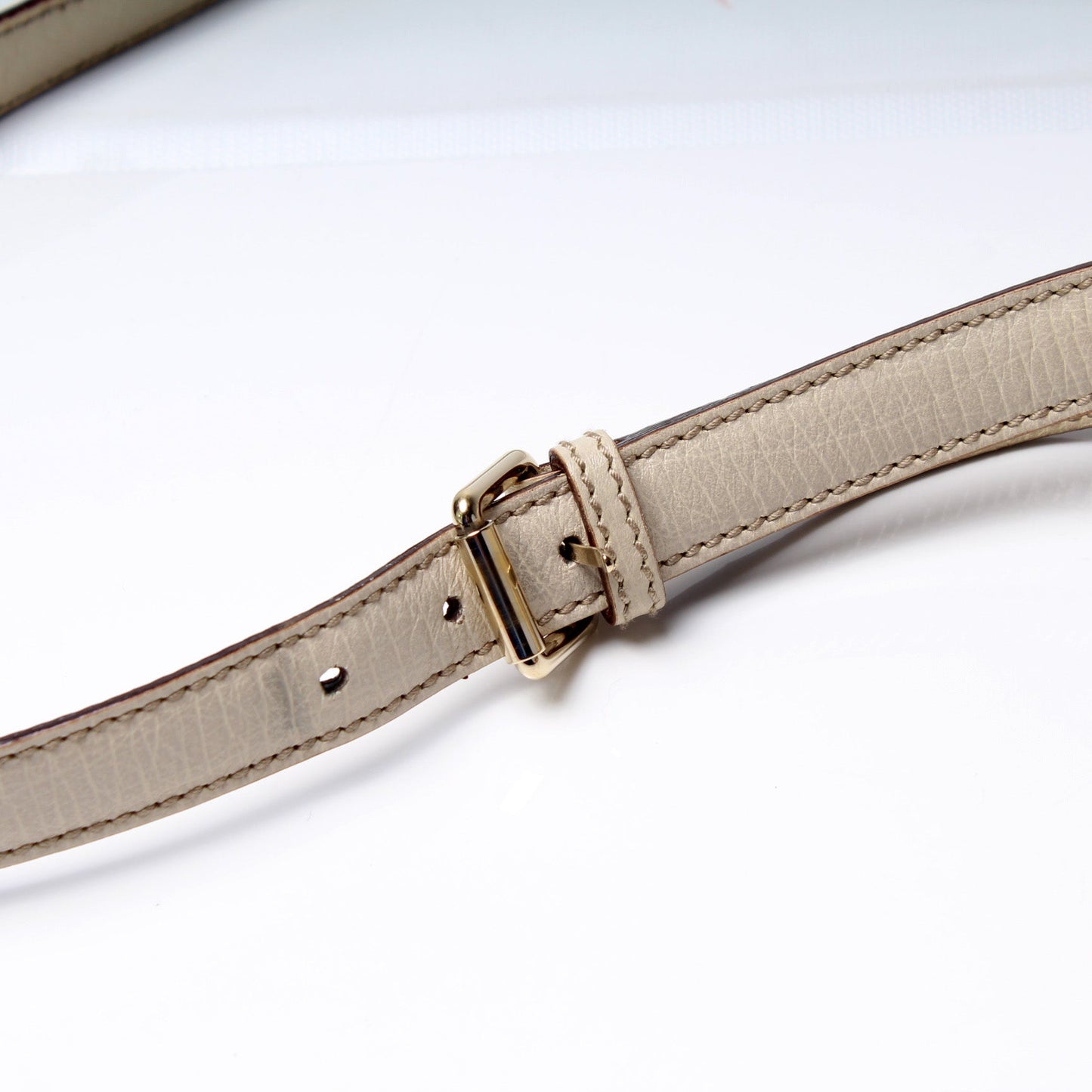 114338 GG Canvas Sherry Messenger