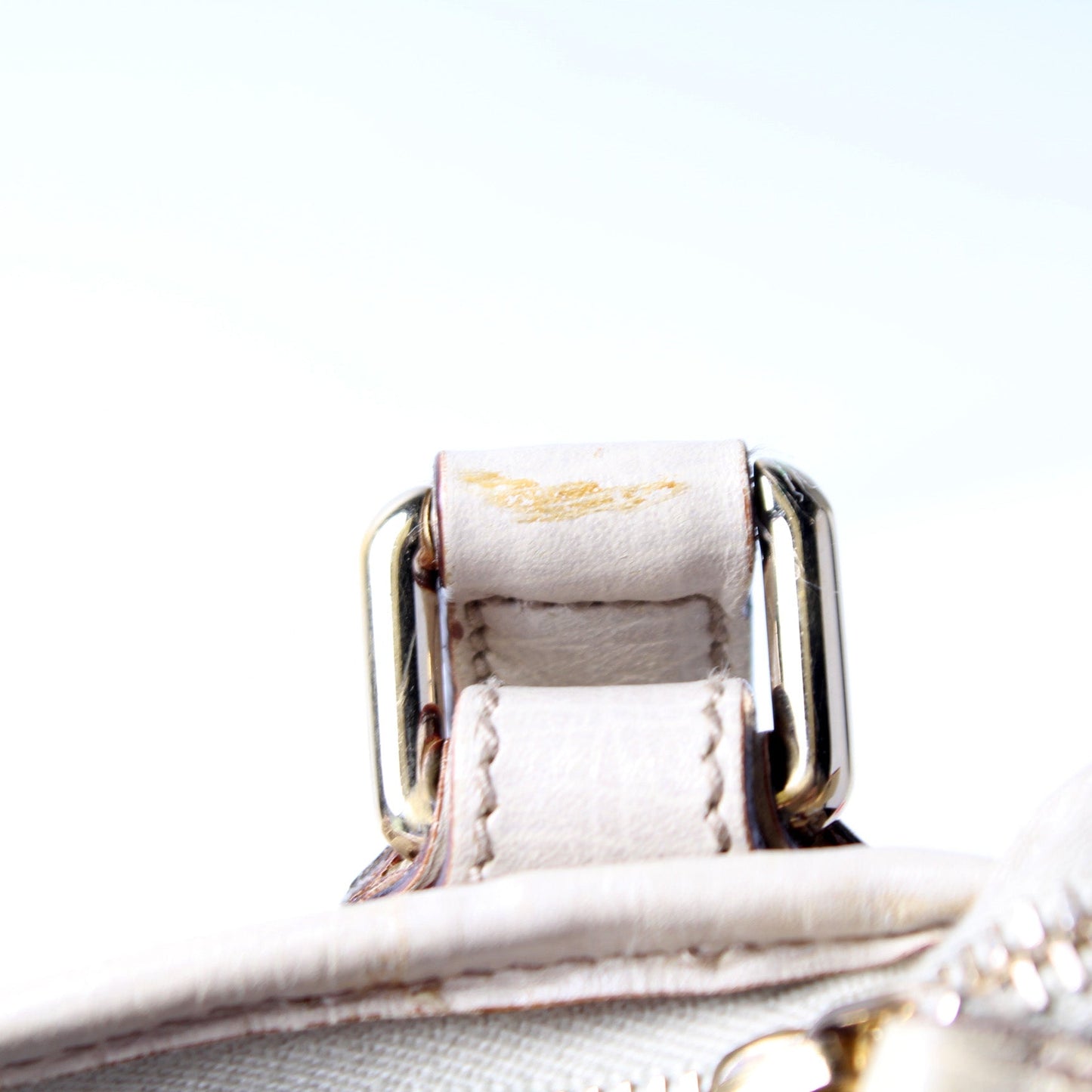 114338 GG Canvas Sherry Messenger