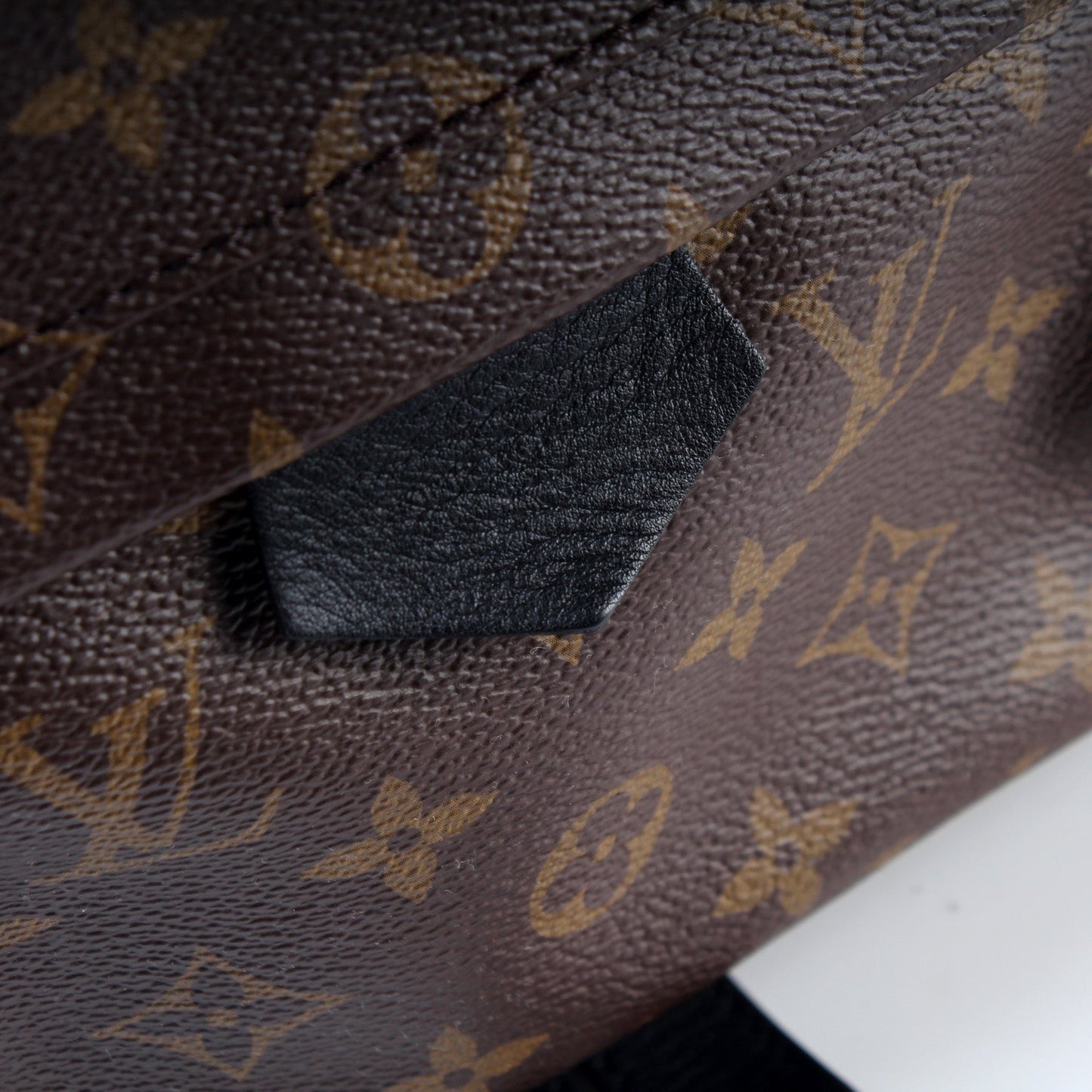 Palm Springs Backpack MM Monogram