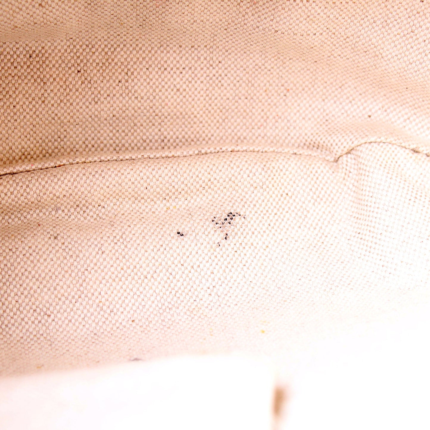 257082 GG Canvas Web Half Moon Hobo