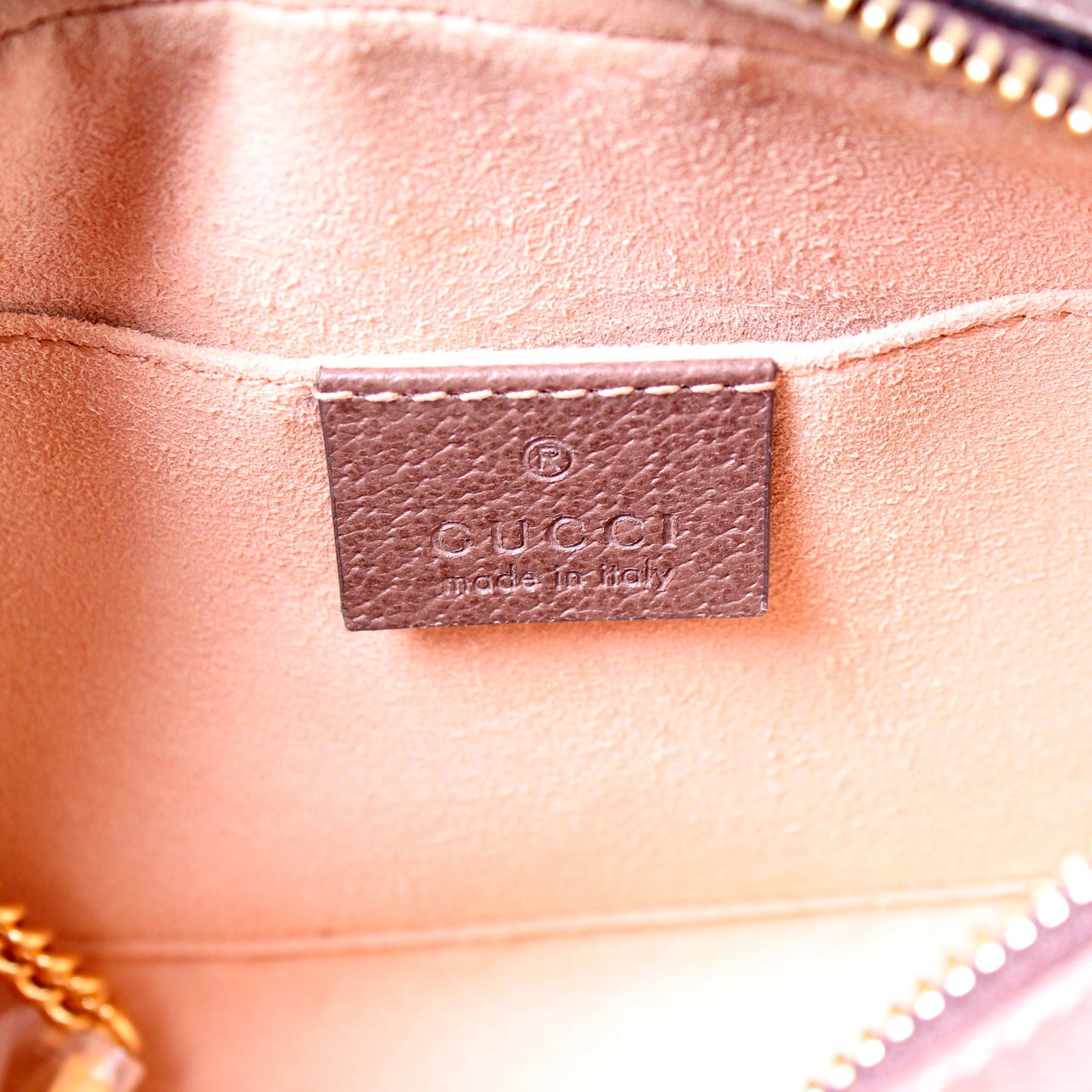 517350 GG Supreme Mini Ophidia