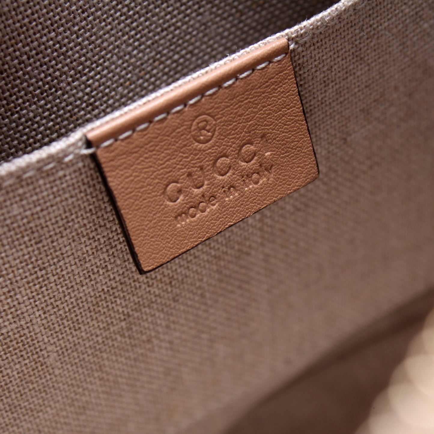 449654 Mini Dome Guccissima