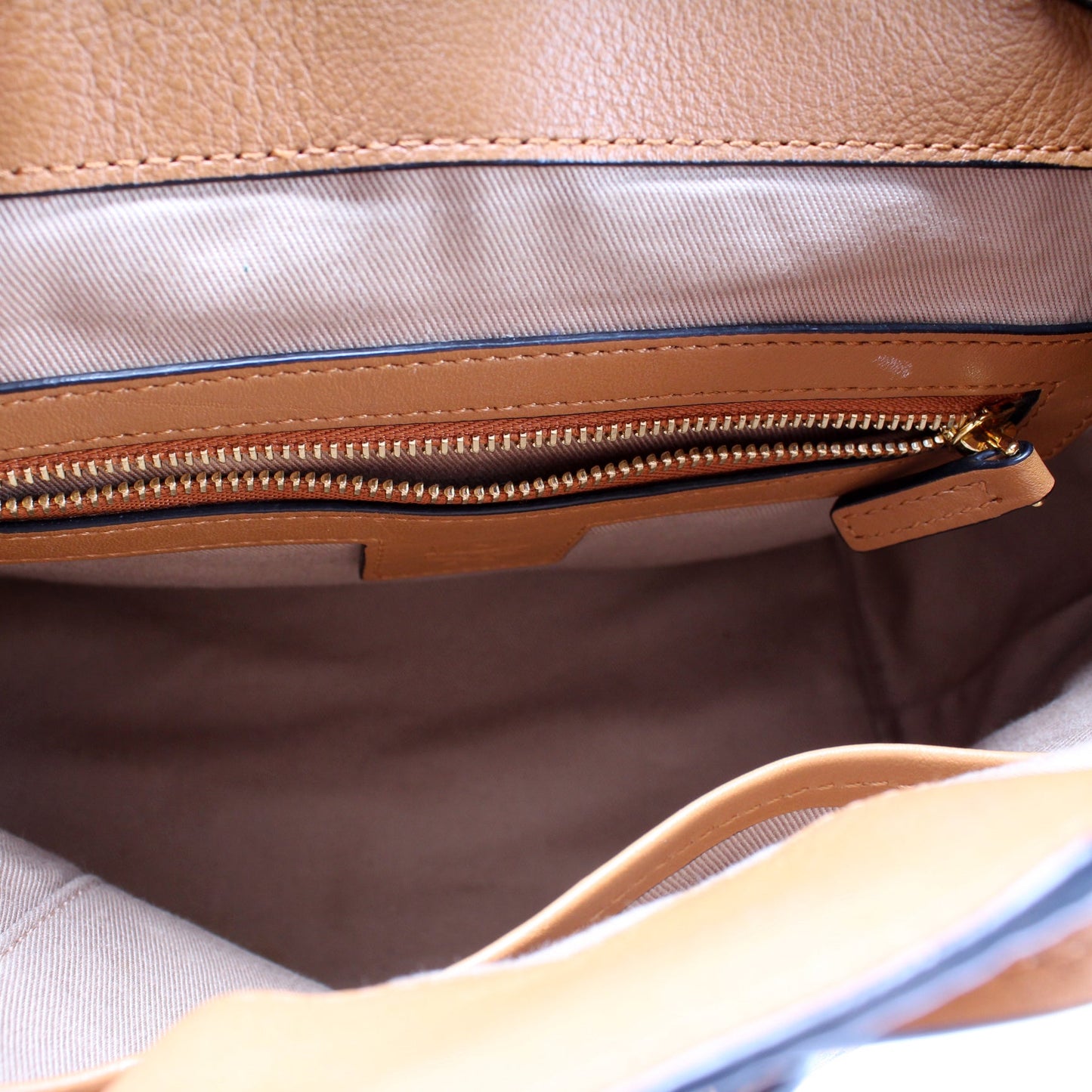 Essential Backpack