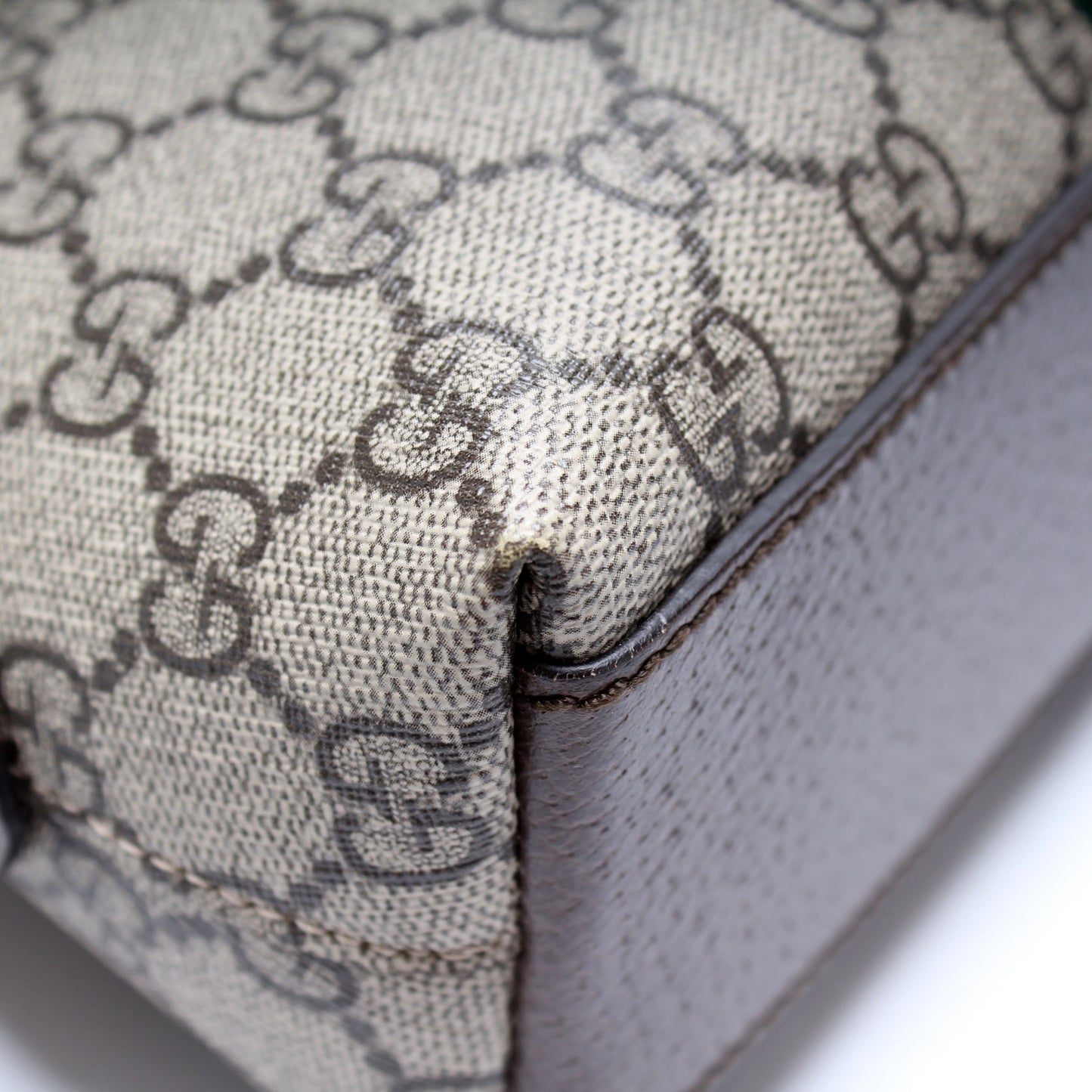 499621 Ophidia GG Small Crossbody