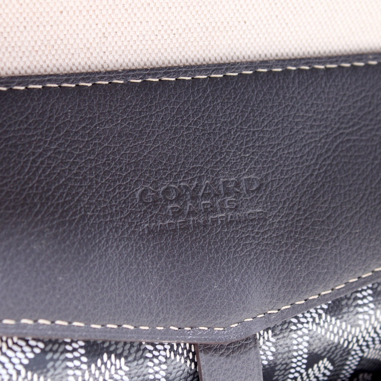 Cisalpin Backpack