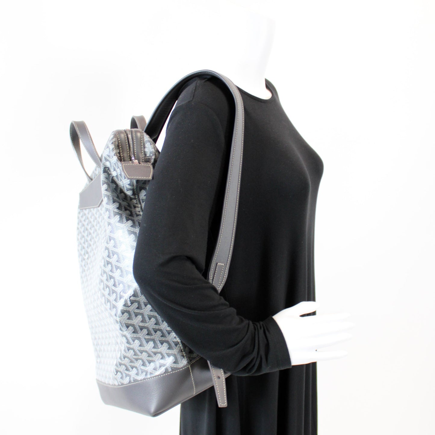 Cisalpin Backpack