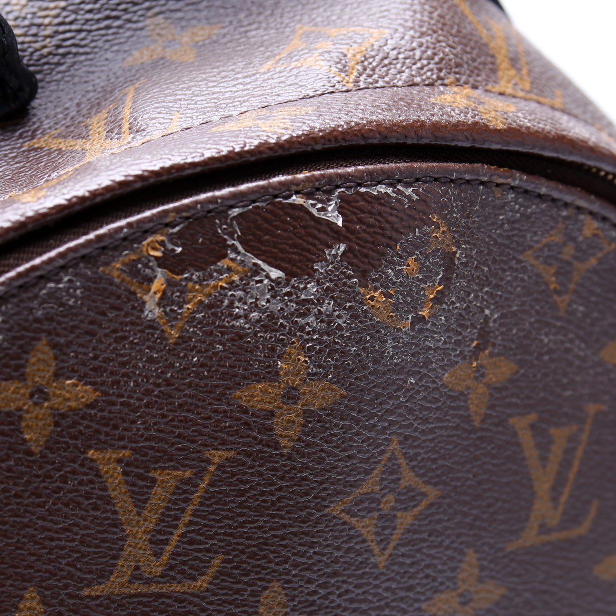 Palm Springs Backpack MM Monogram