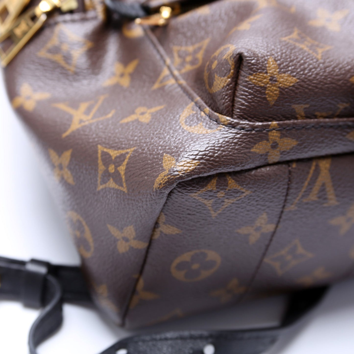 Palm Springs Backpack MM Monogram