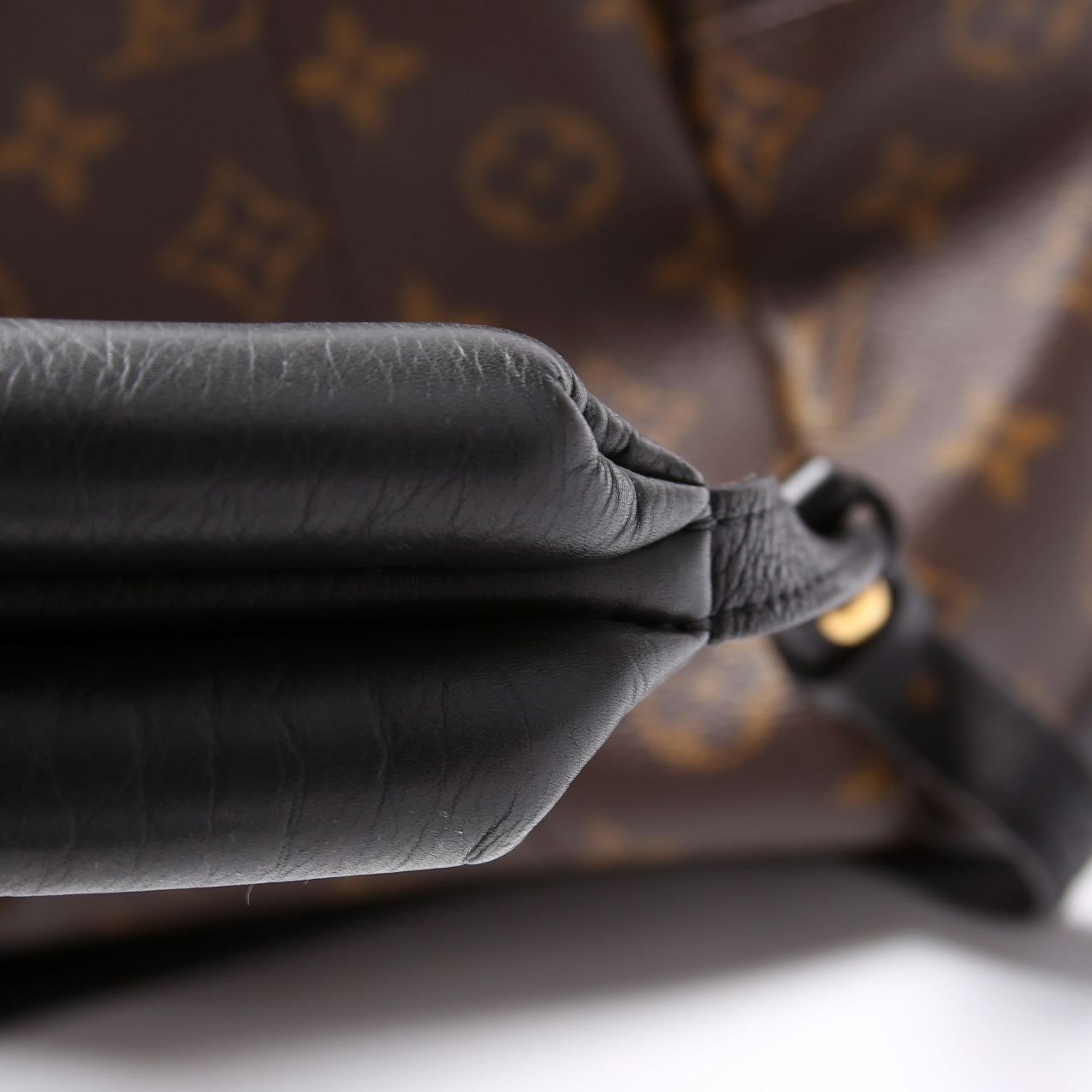 Palm Springs Backpack MM Monogram