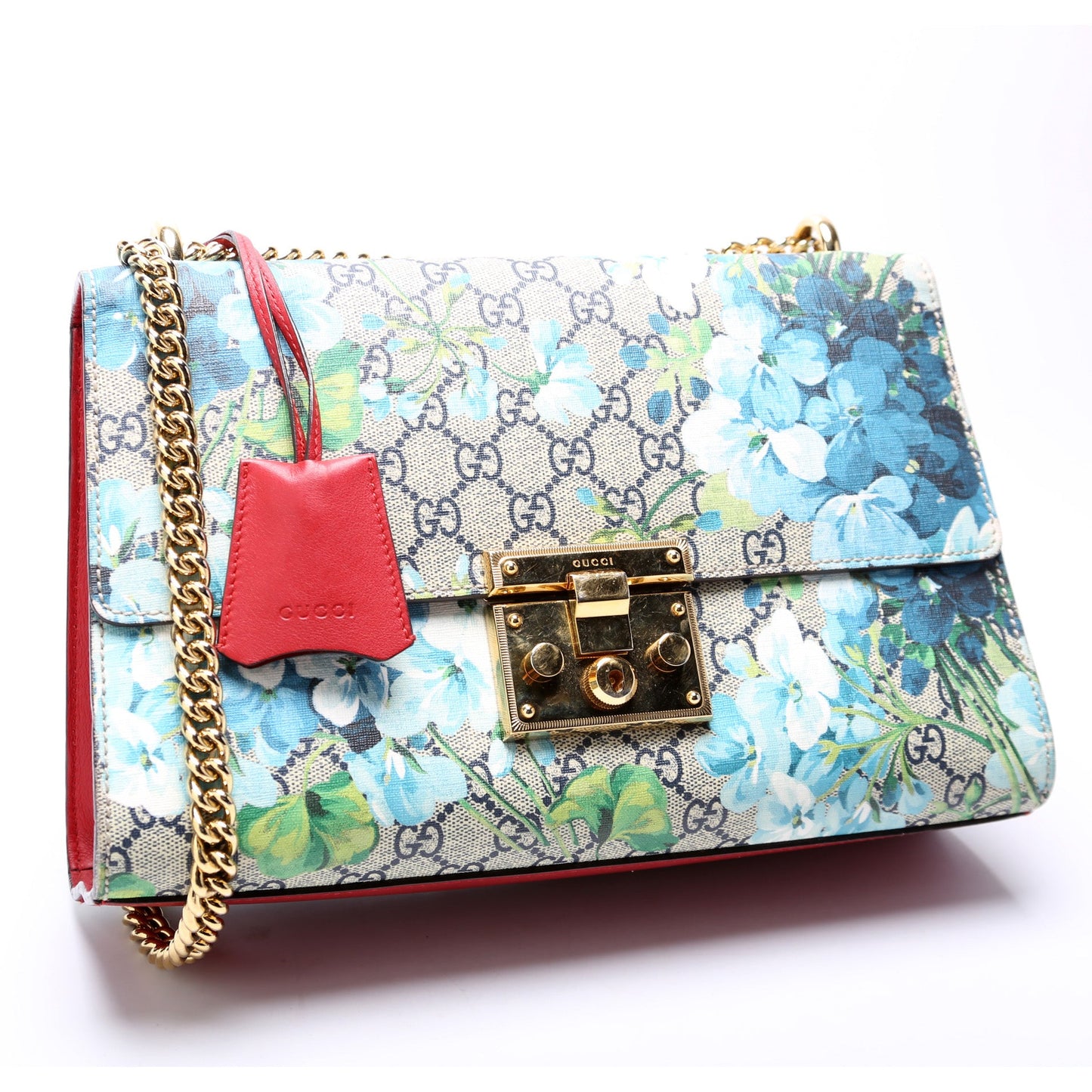 409486 Padlock Blooms