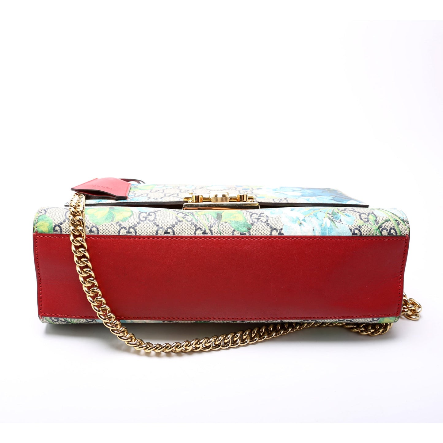 409486 Padlock Blooms