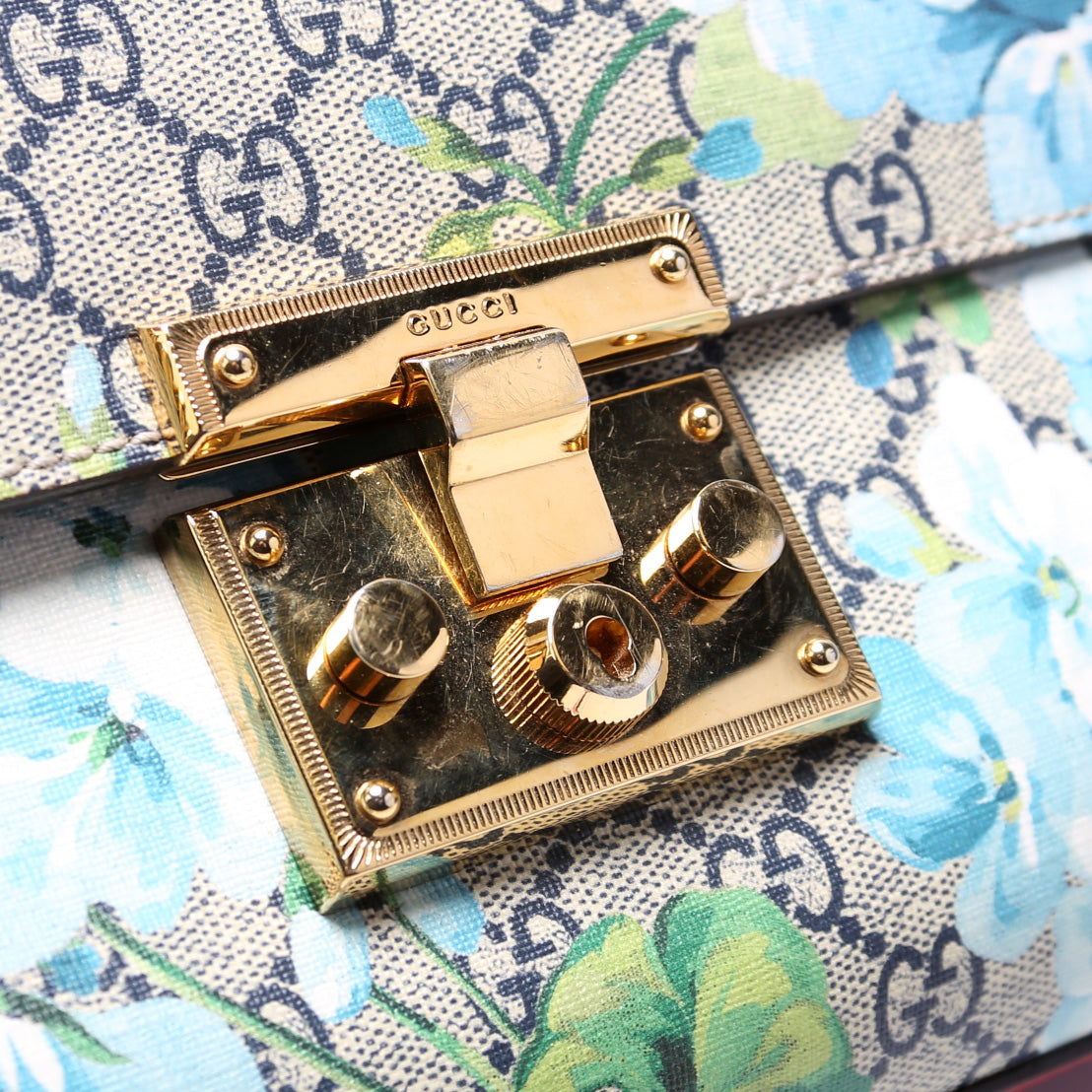 409486 Padlock Blooms