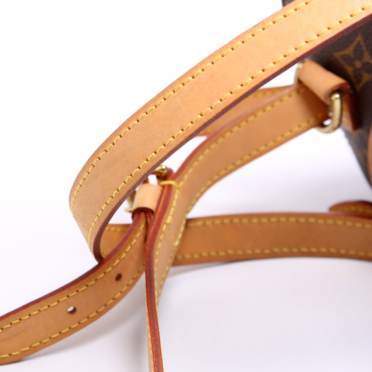 Ellipse Backpack Monogram
