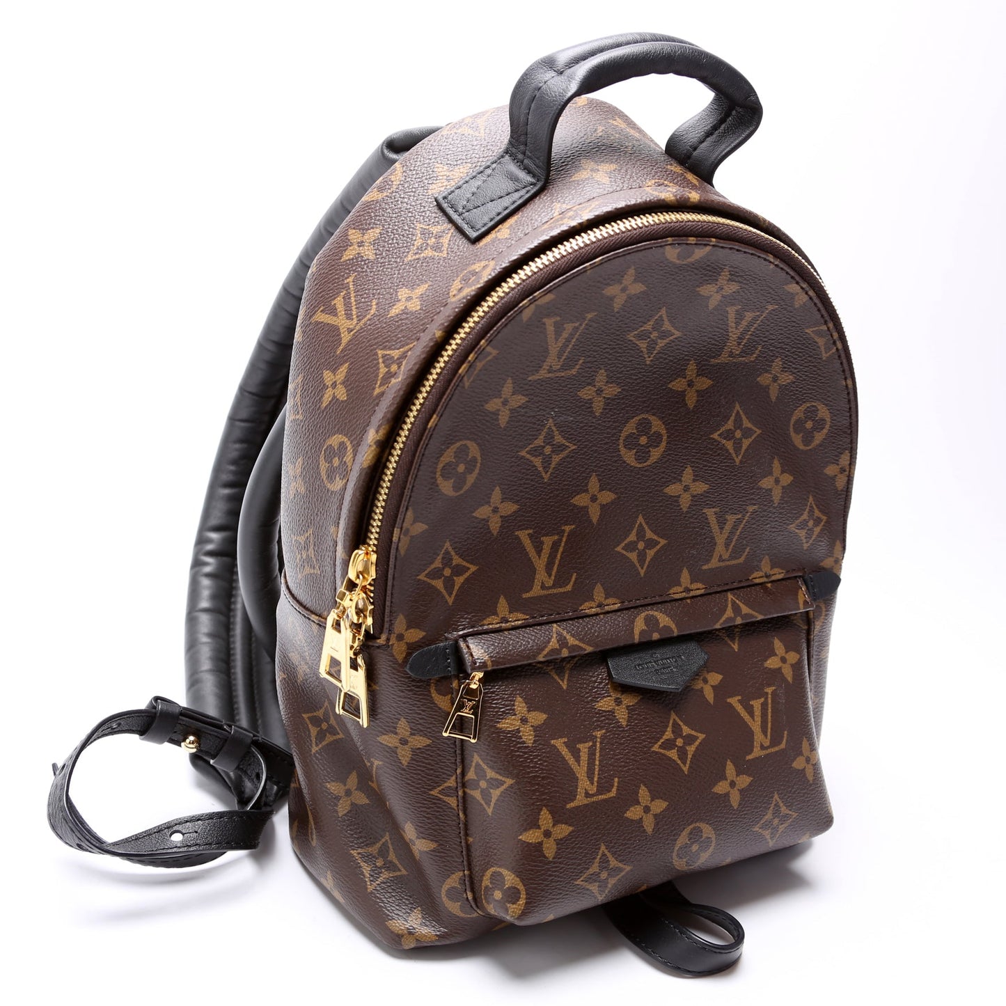 Palm Springs Backpack PM NM Monogram