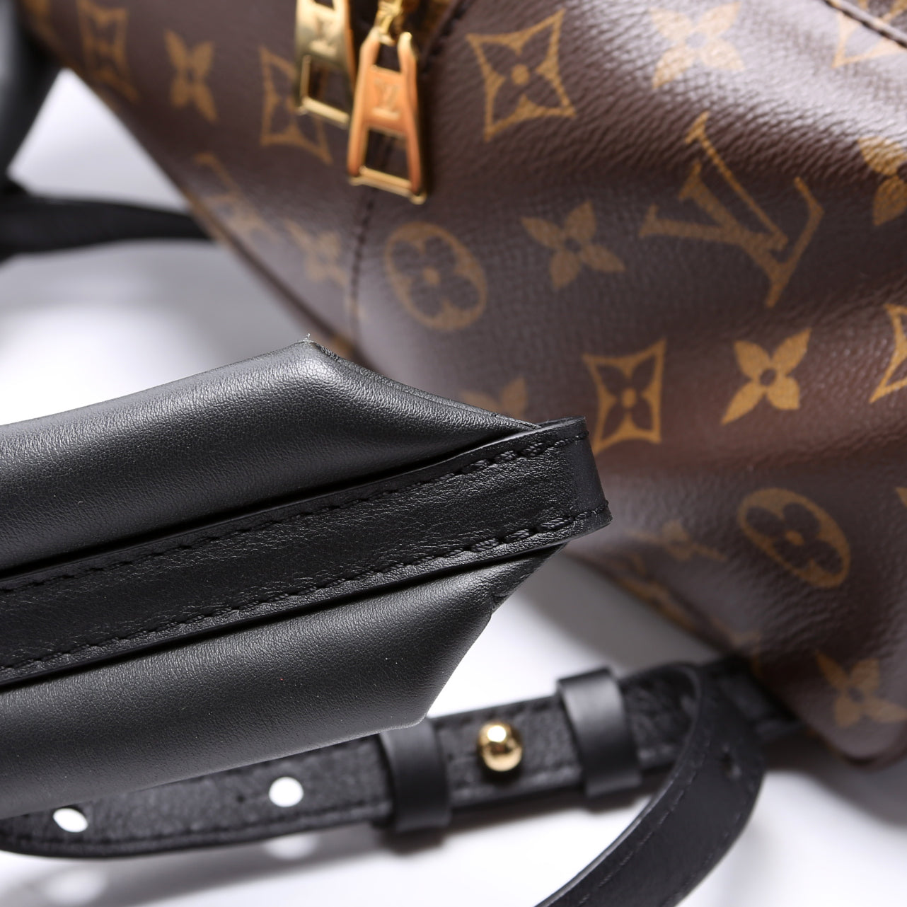 Palm Springs Backpack PM NM Monogram