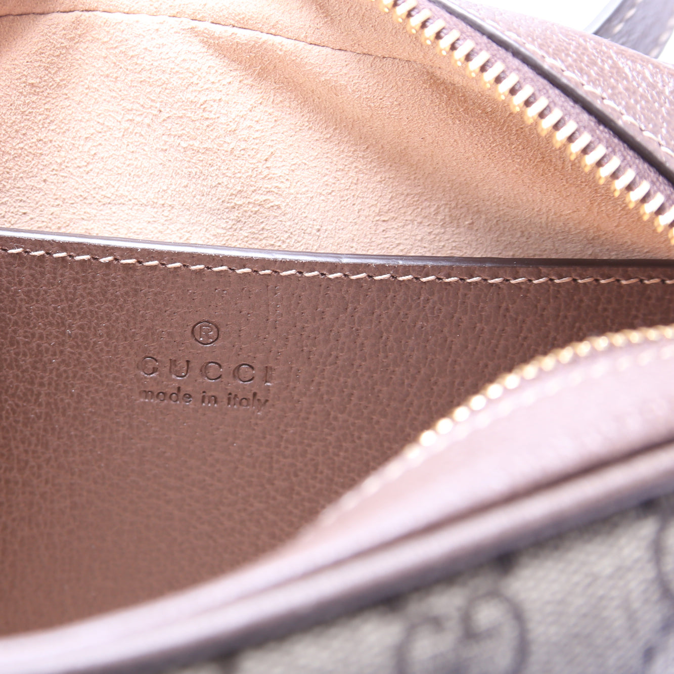 517350 GG Supreme Mini Ophidia Brown