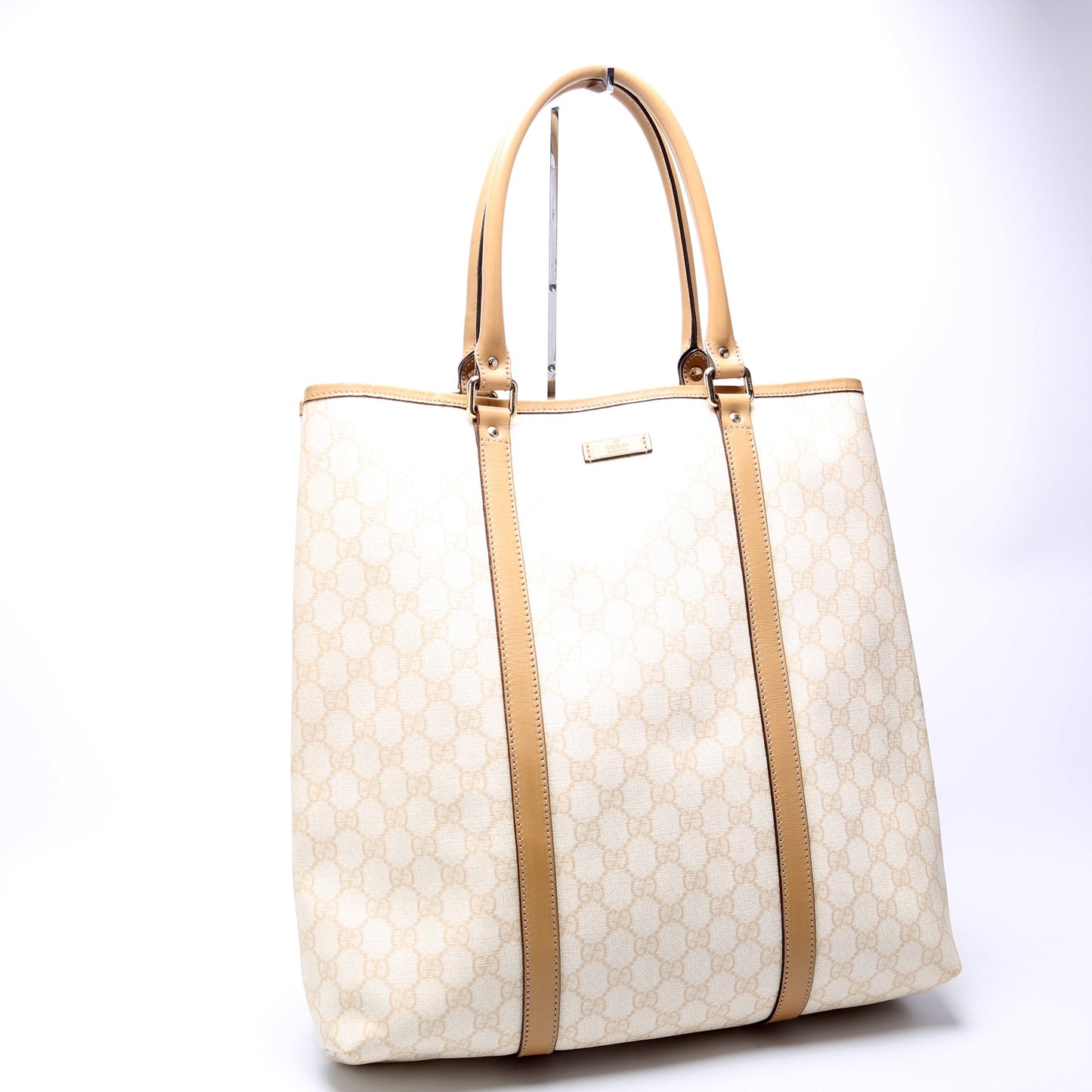223668 GG Plus Tote