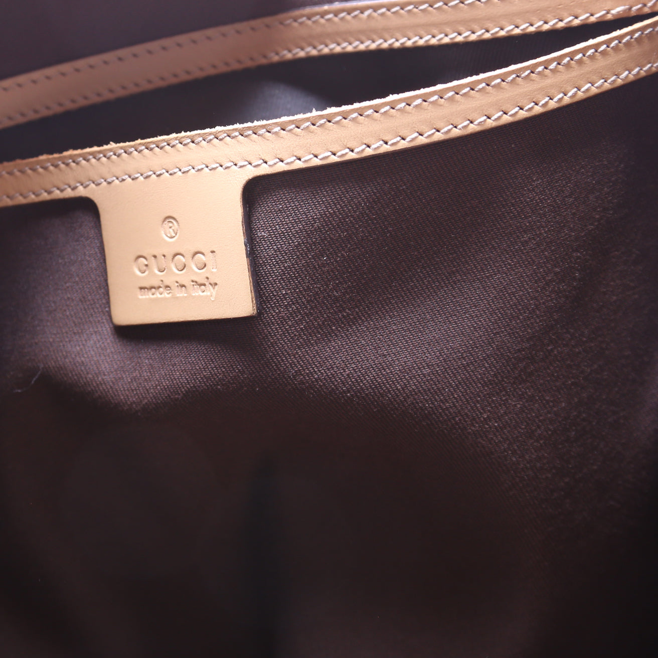223668 GG Plus Tote