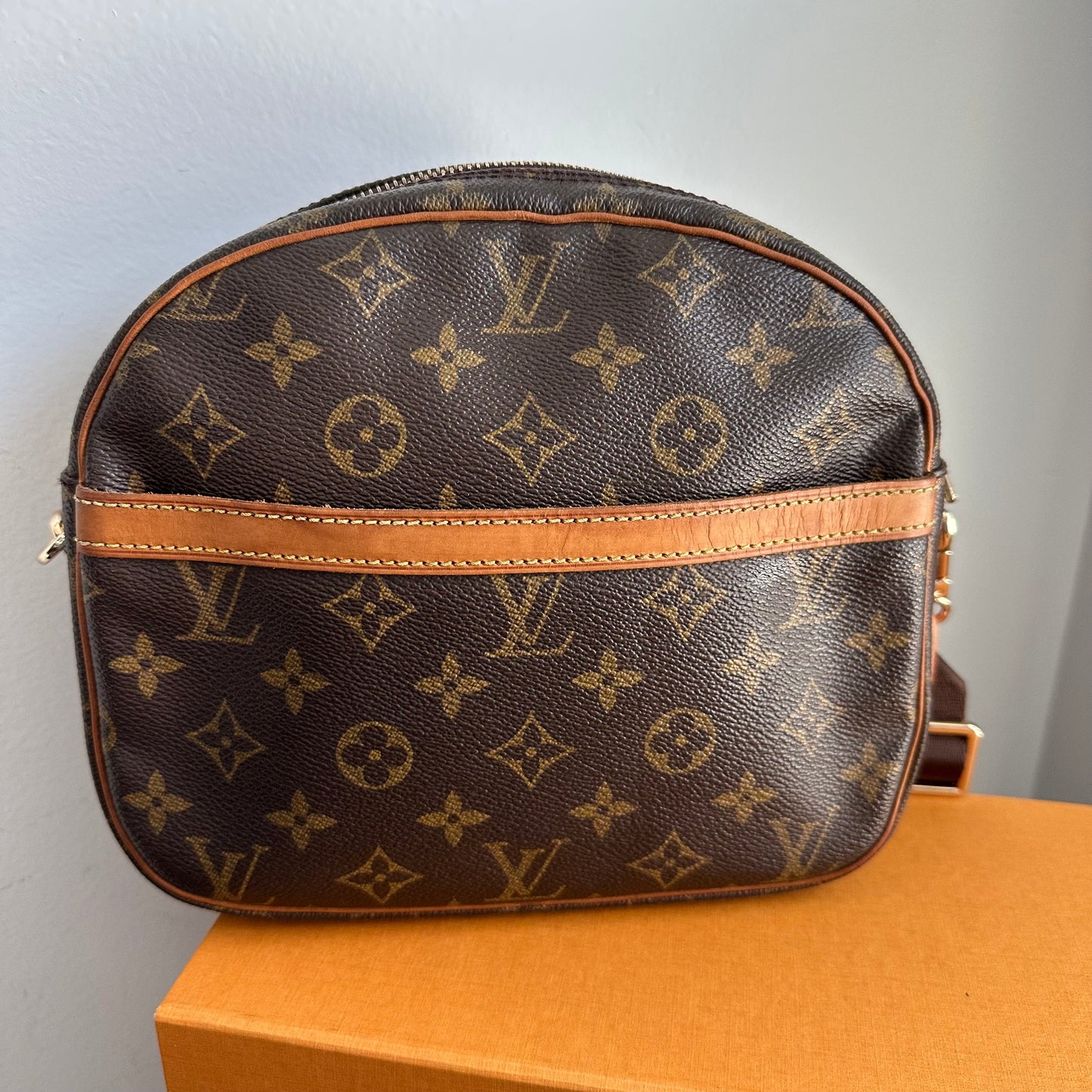 The Cockatiel Crossbody -Orvis bags LV Monogram