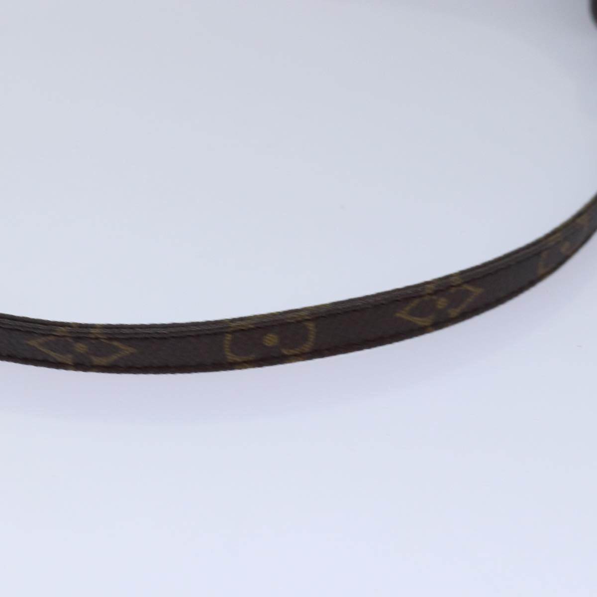 Louis Vuitton Brown Canvas Bag Jewelry