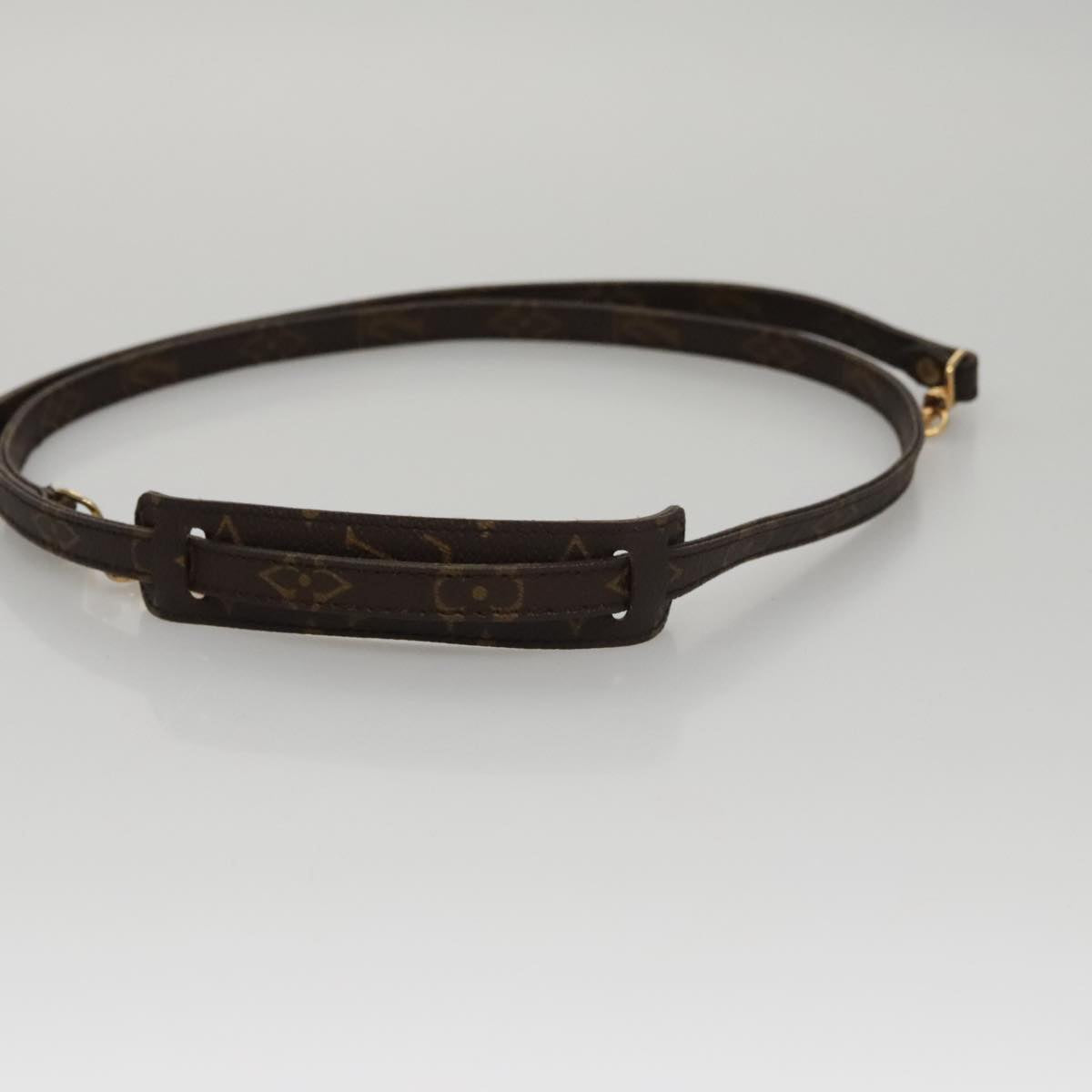 Louis Vuitton Shoulder Strap Brown Canvas Bag Jewelry
