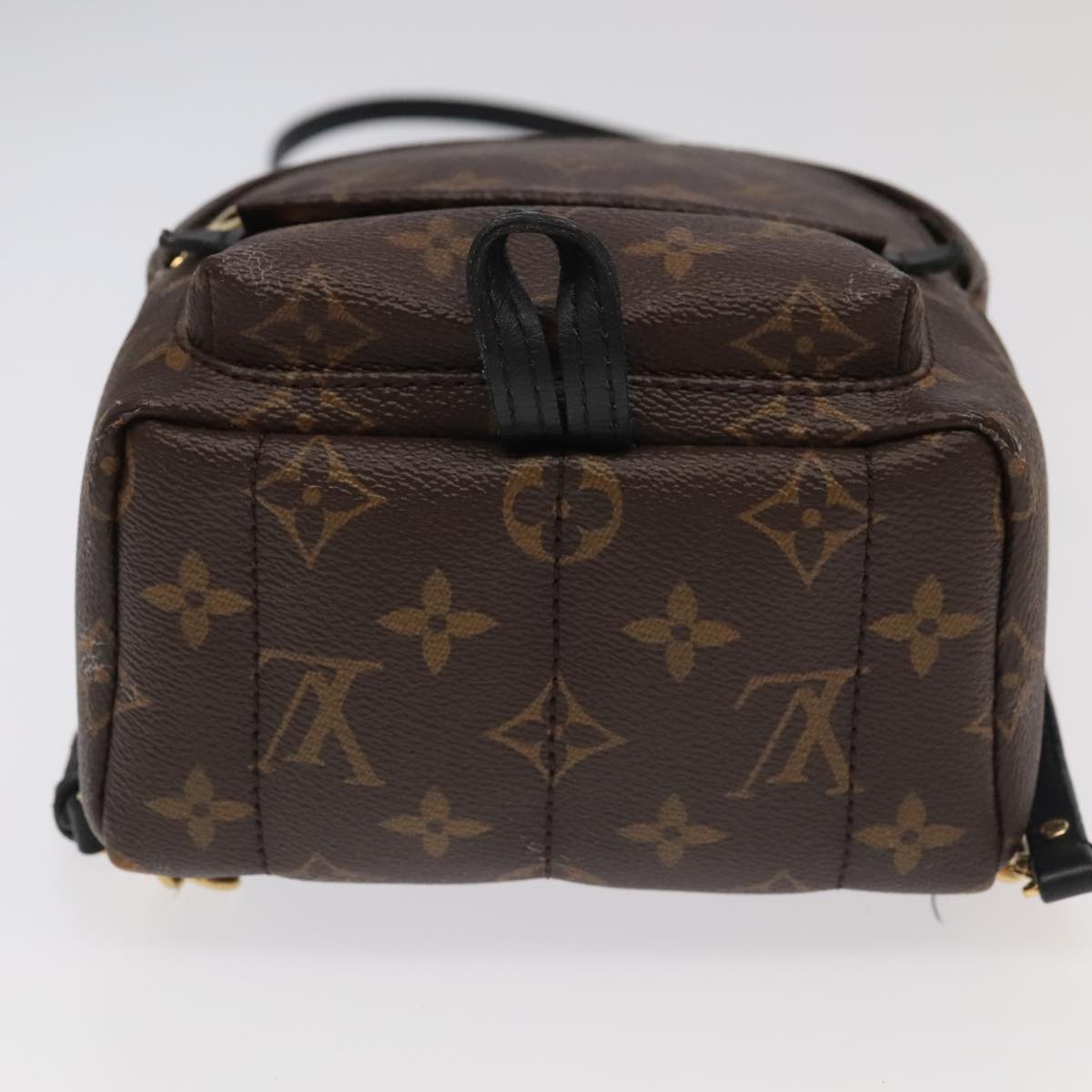 Louis Vuitton Palm Springs Mini Brown Canvas Backpack Bag
