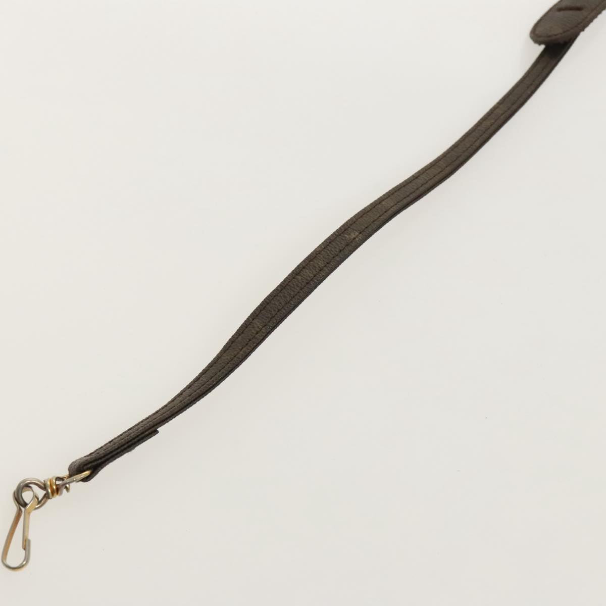Louis Vuitton Shoulder Strap Brown Canvas Bag Jewelry