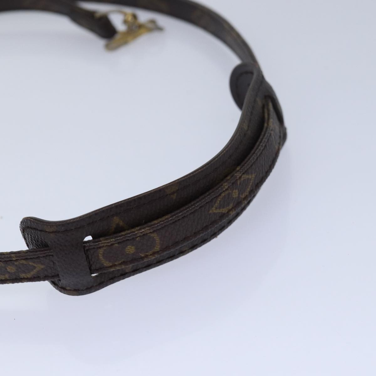 Louis Vuitton Brown Canvas Bag Jewelry
