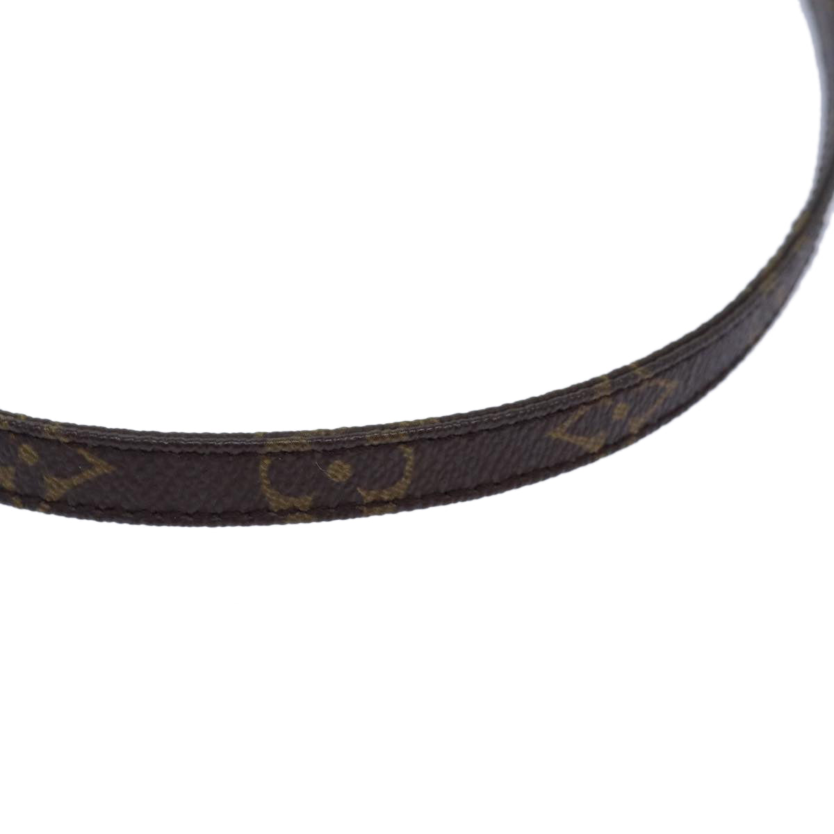 Louis Vuitton Brown Canvas Bag Jewelry