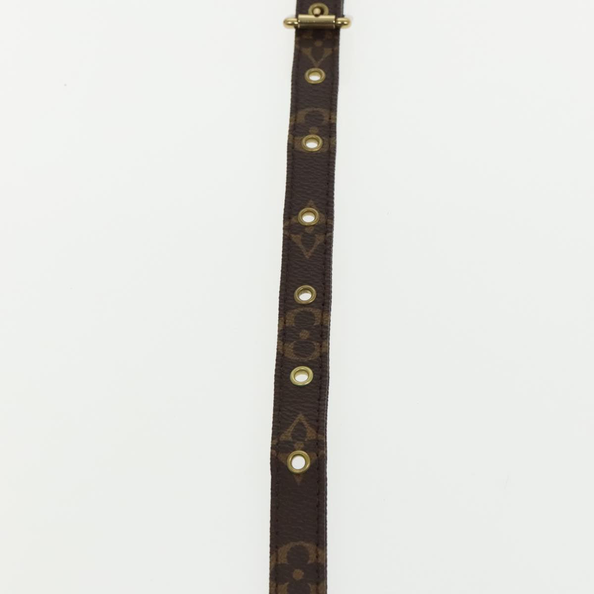 Louis Vuitton Shoulder Strap Brown Canvas Bag Jewelry