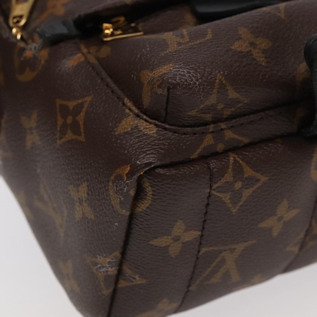 Louis Vuitton Palm Springs Mini Brown Canvas Backpack Bag