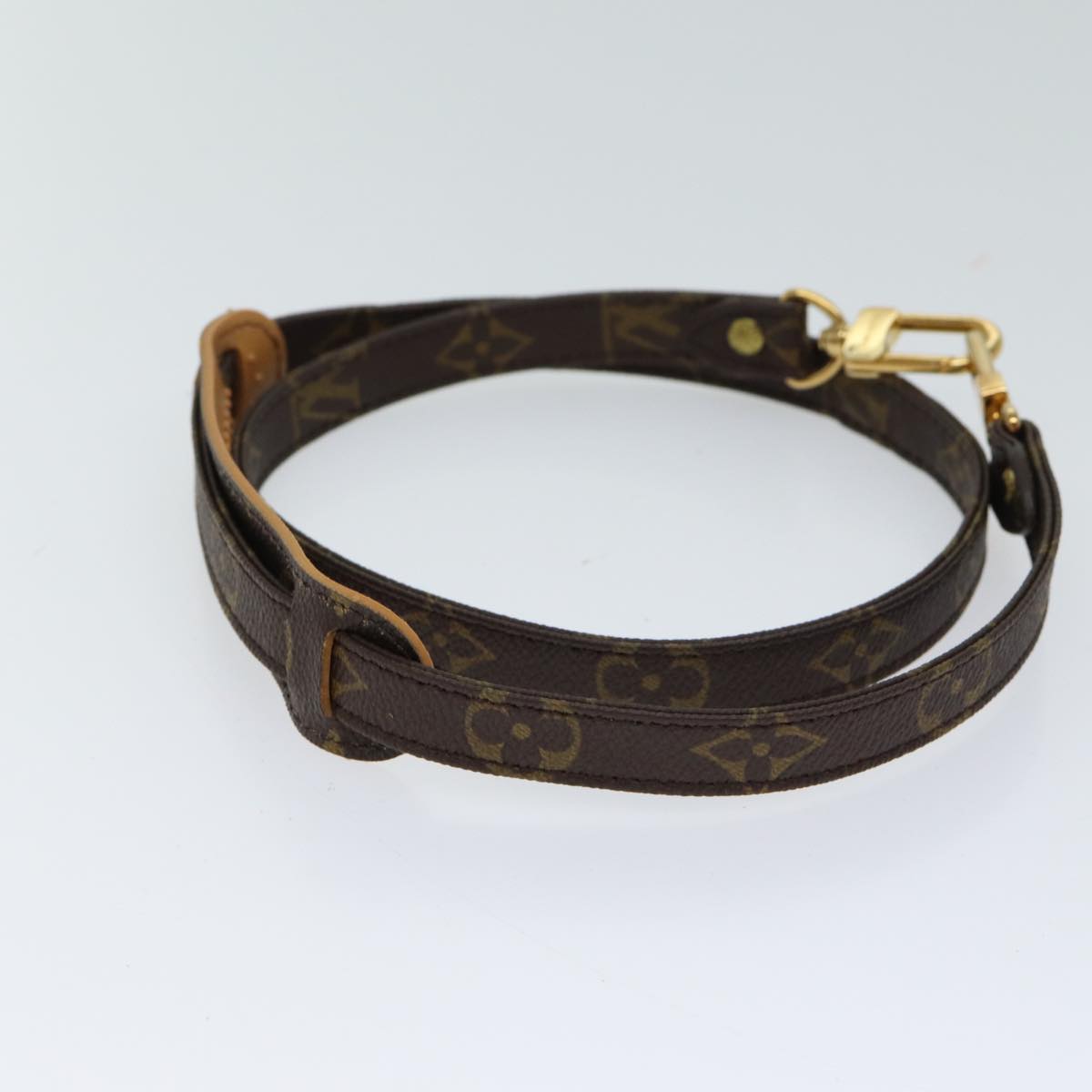 Louis Vuitton Brown Canvas Bag Jewelry