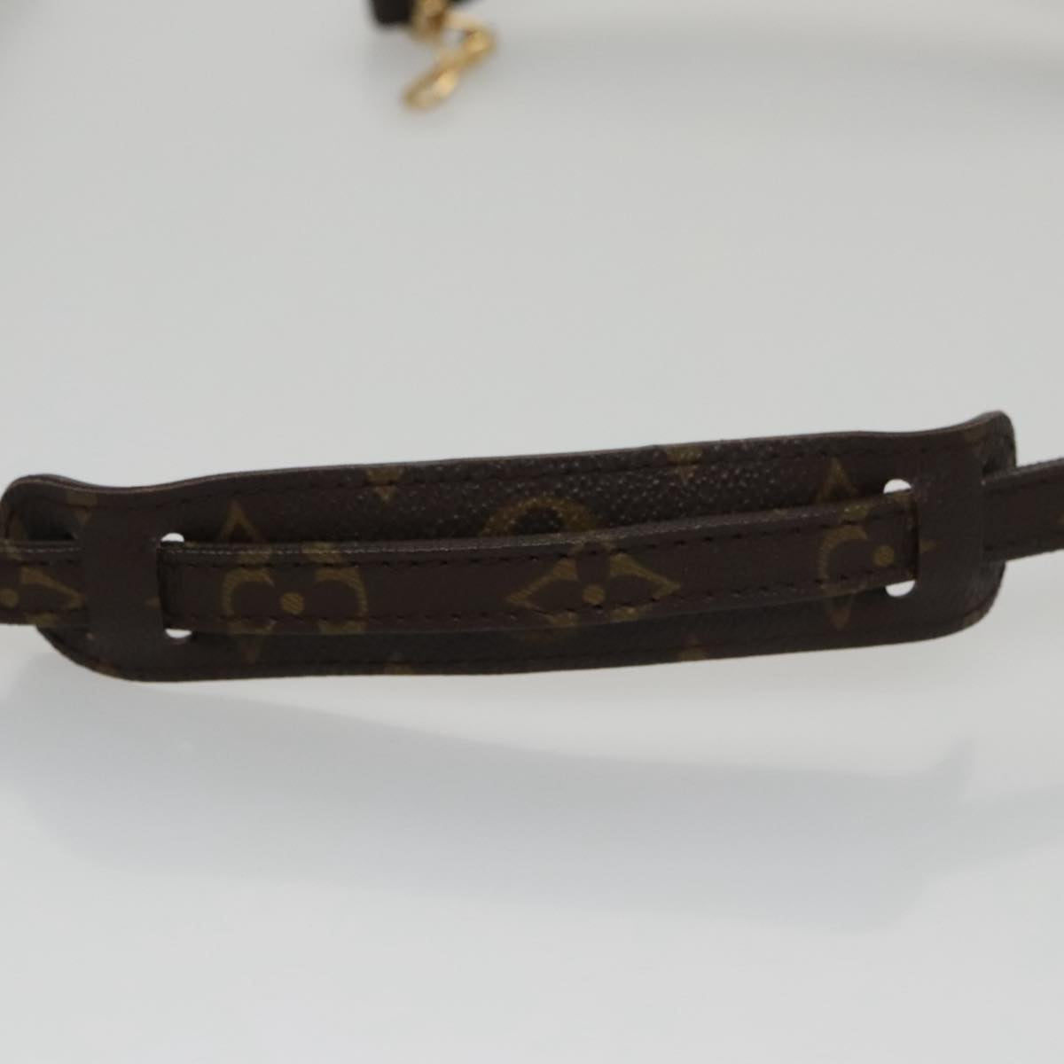 Louis Vuitton Shoulder Strap Brown Canvas Bag Jewelry