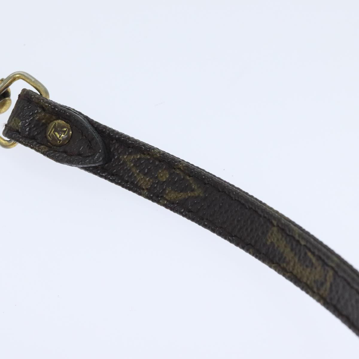 Louis Vuitton Shoulder Strap Brown Canvas Bag Jewelry