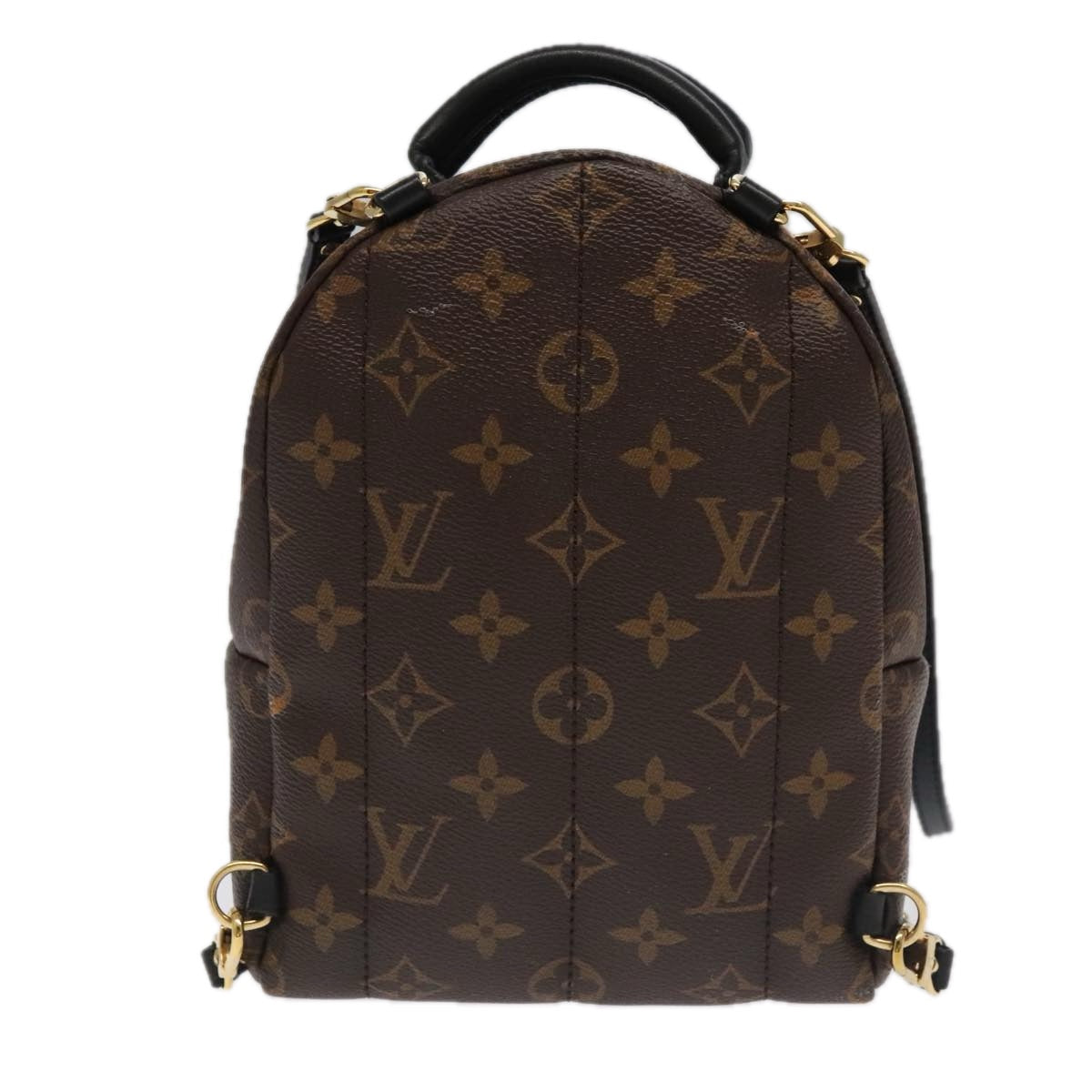 Louis Vuitton Palm Springs Mini Brown Canvas Backpack Bag