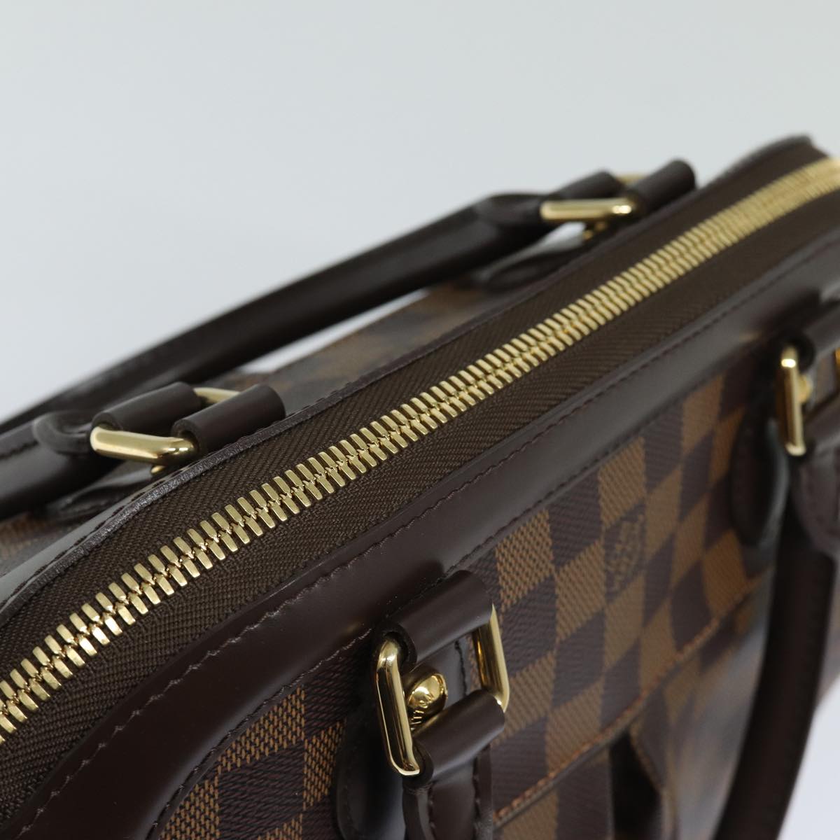Louis Vuitton Trevi Brown Canvas Handbag