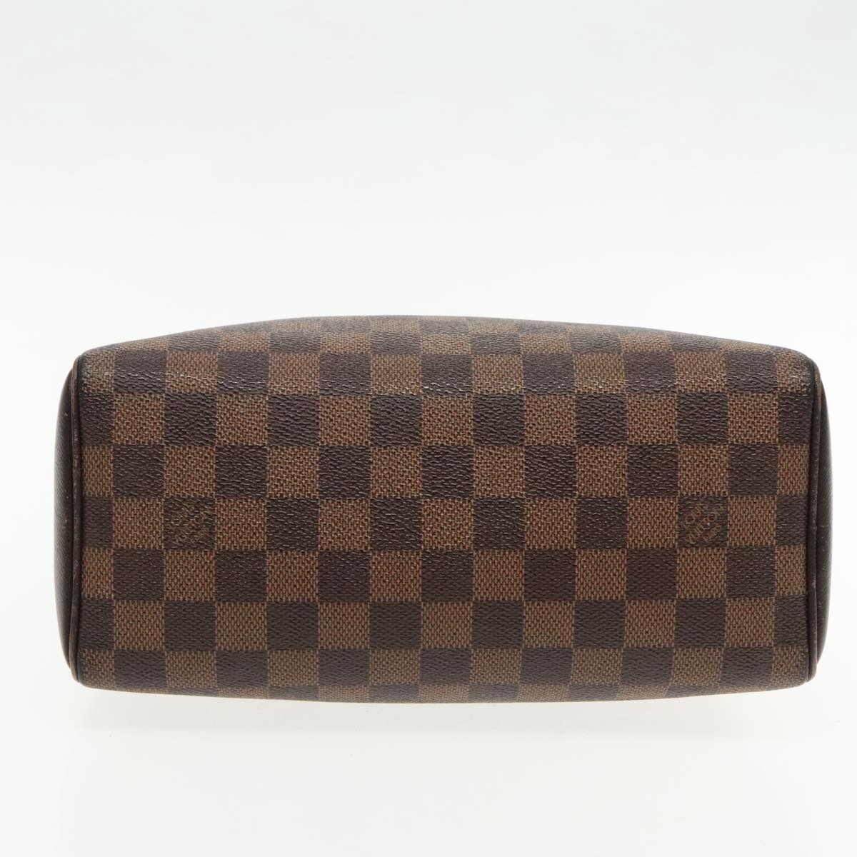 Louis Vuitton Brera Brown Canvas Handbag