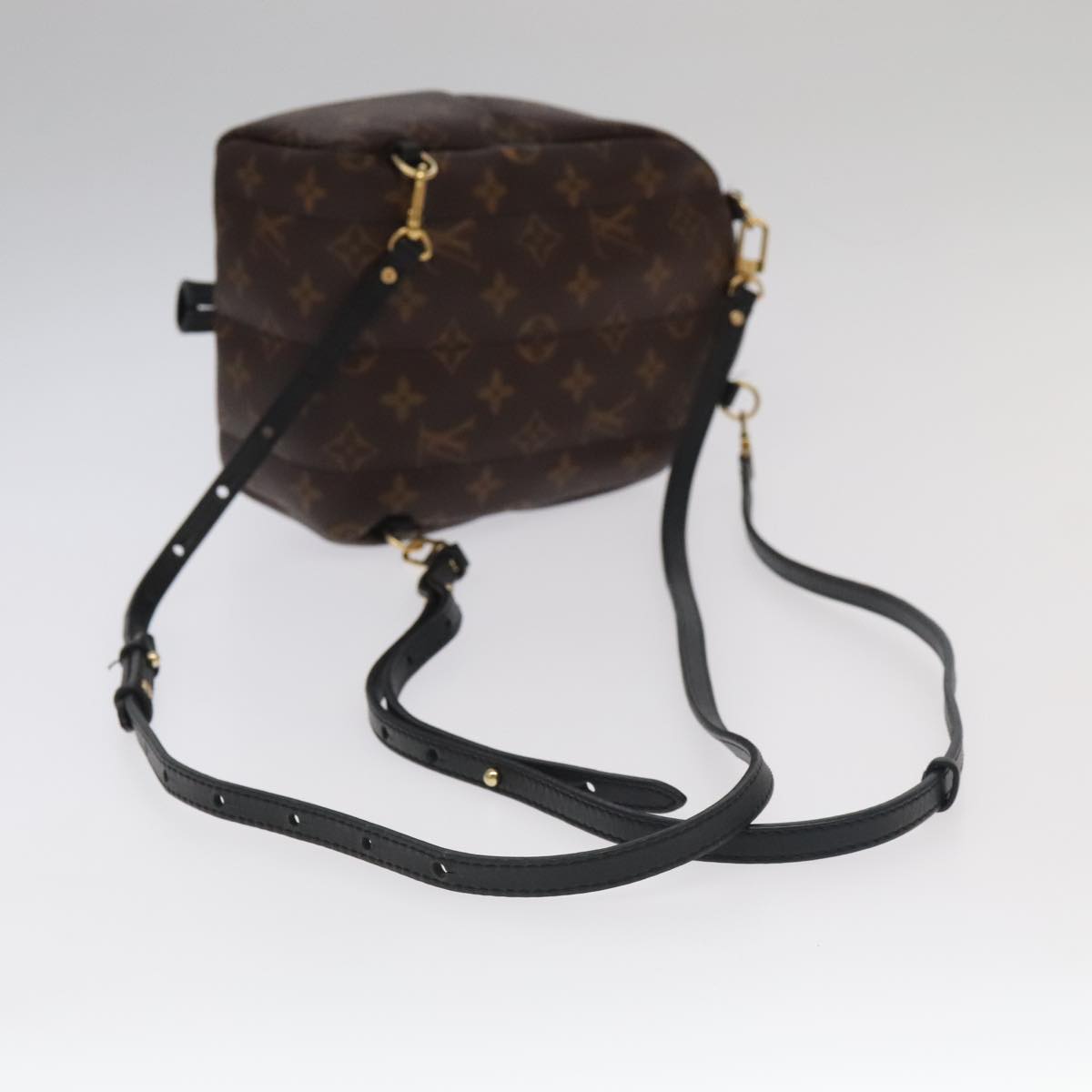 Louis Vuitton Palm Springs Mini Brown Canvas Backpack Bag