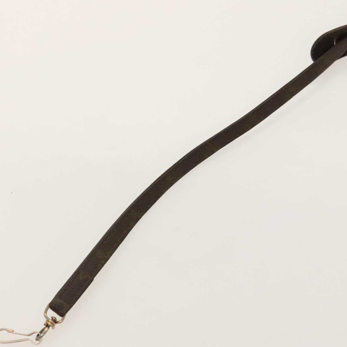 Louis Vuitton Shoulder Strap Brown Canvas Bag Jewelry