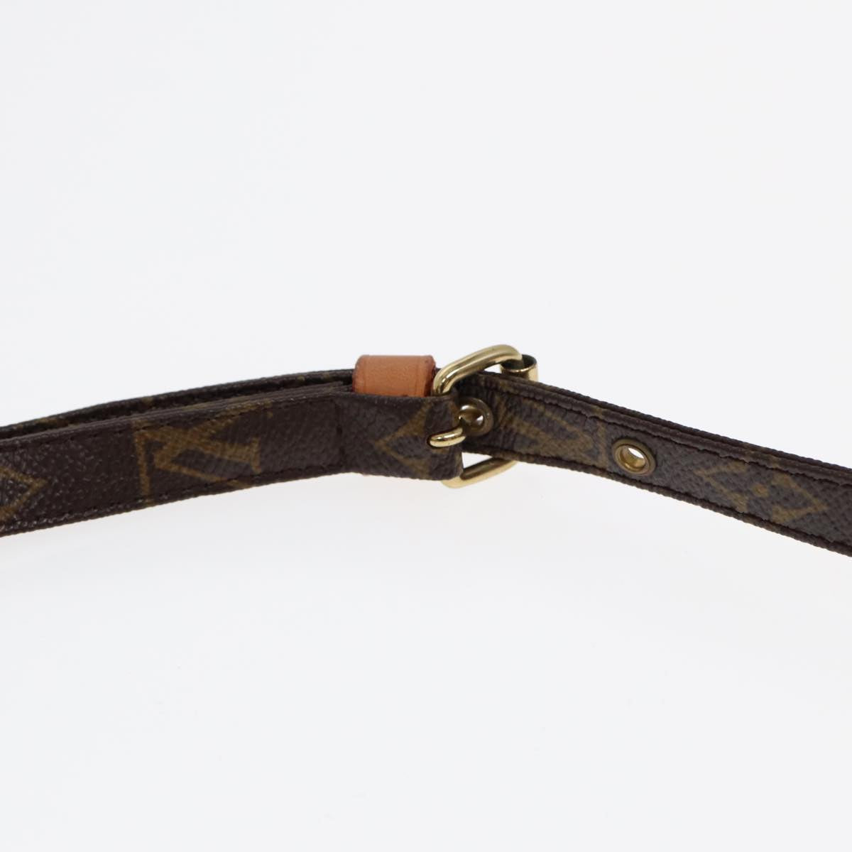 Louis Vuitton Danube Brown Canvas Shoulder Bag