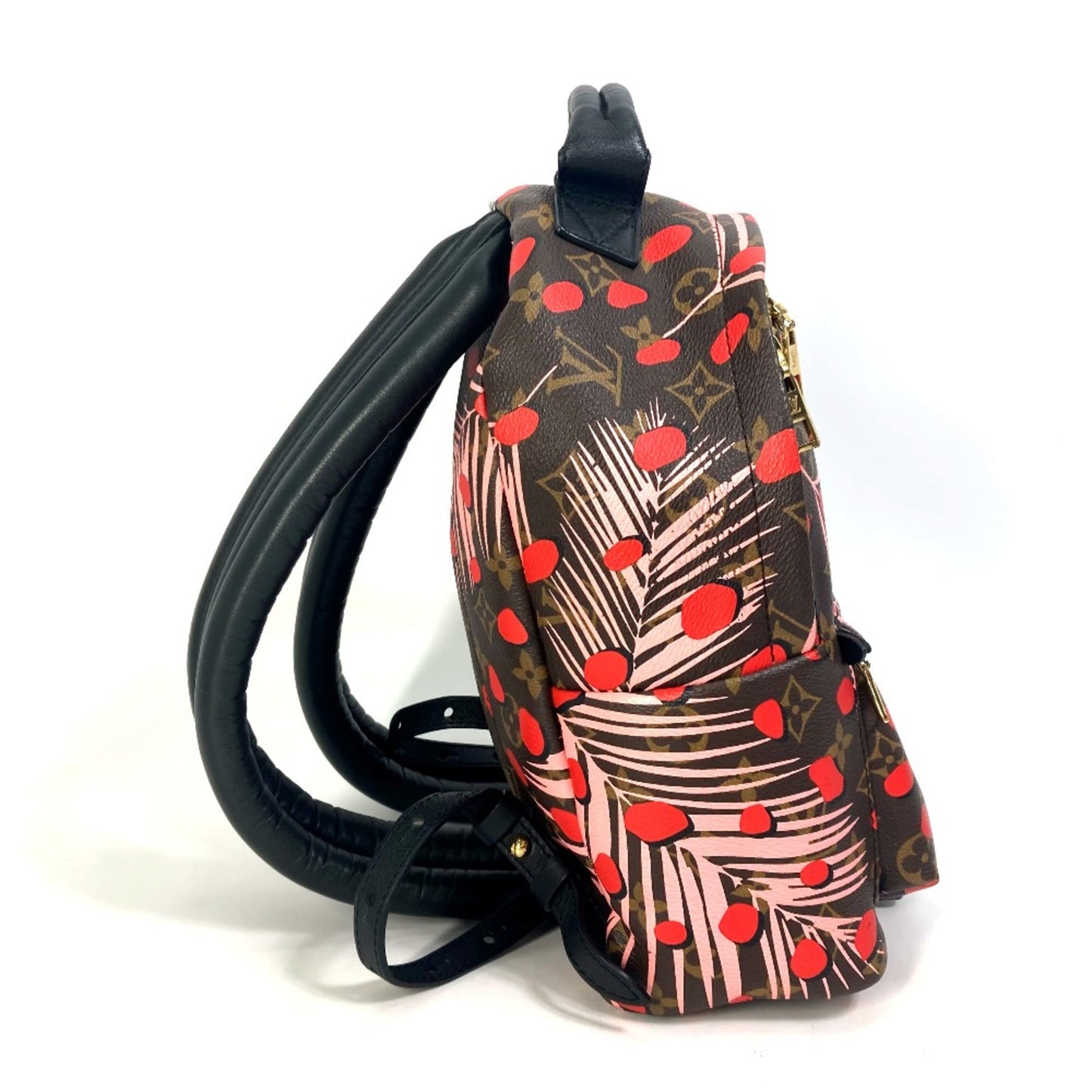 Louis Vuitton Brown Other Backpack