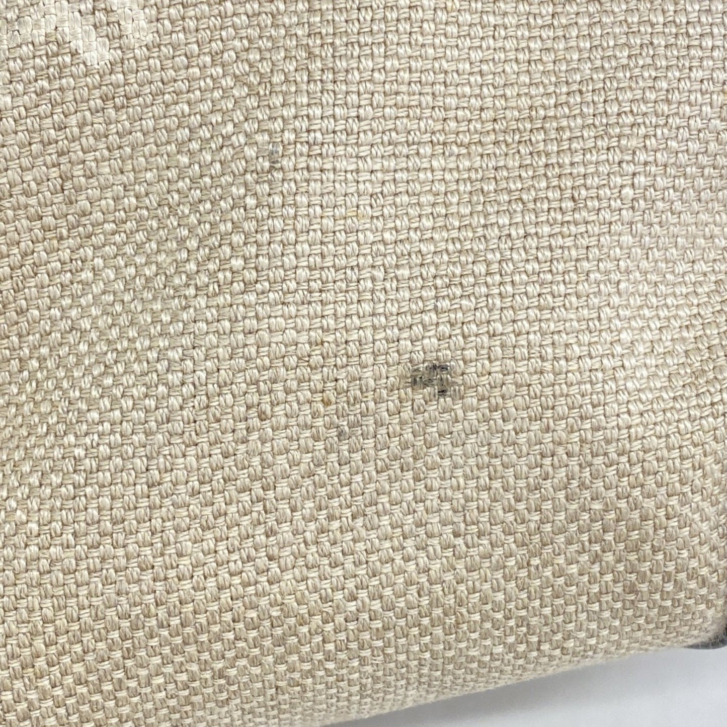 Gucci Beige Canvas Tote Bag
