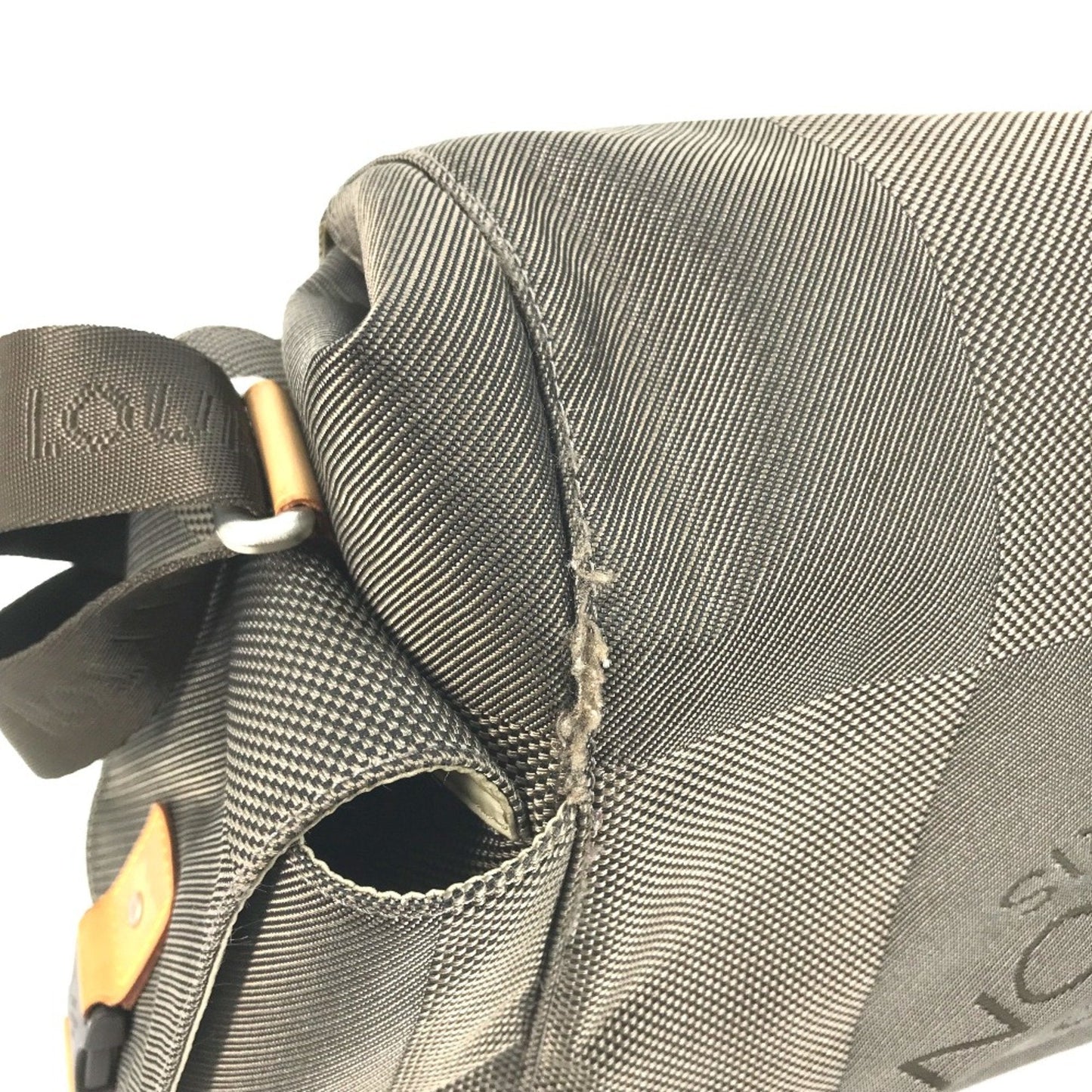 Louis Vuitton Other Other Shoulder Bag
