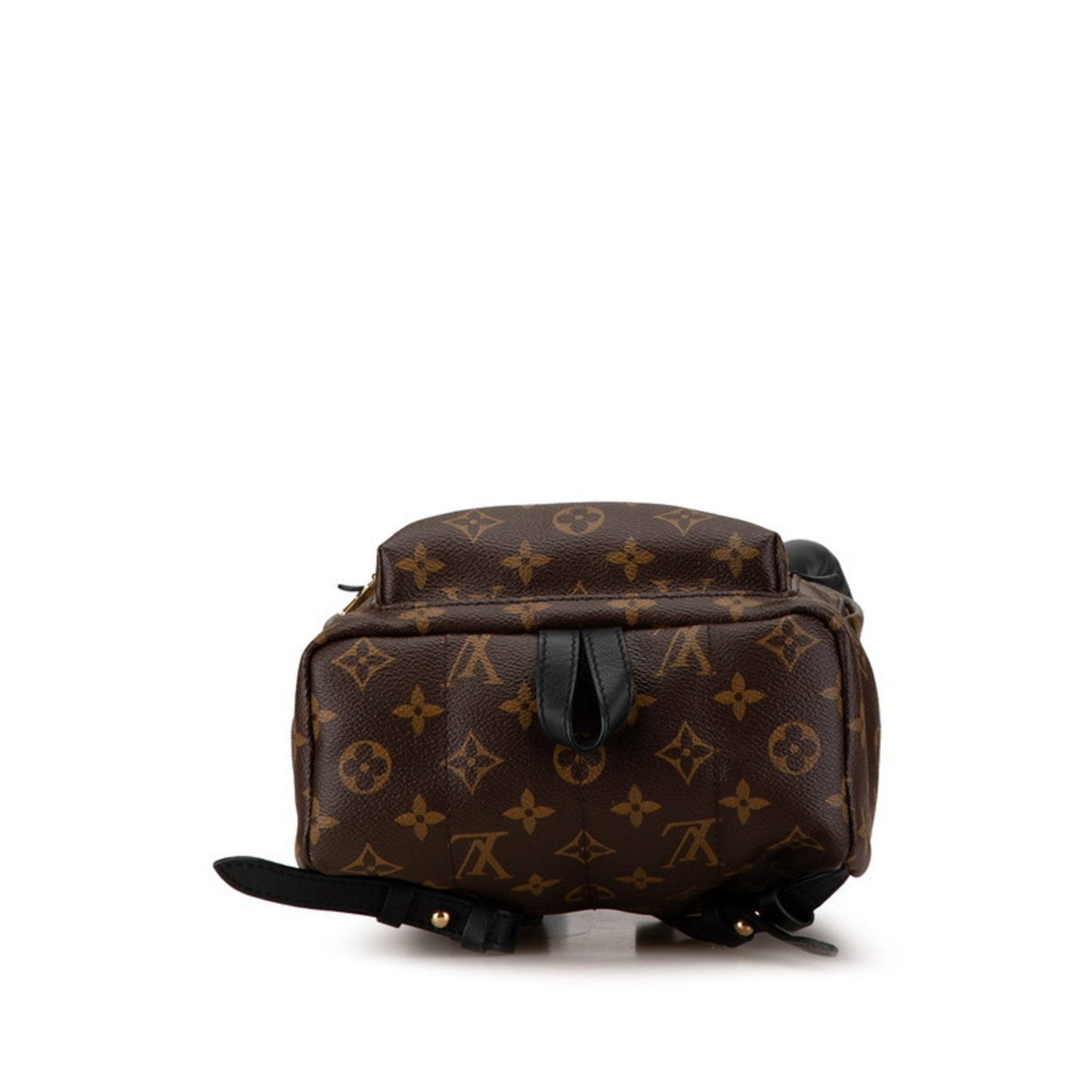 Louis Vuitton Brown Monogram Pvc Leather Backpack