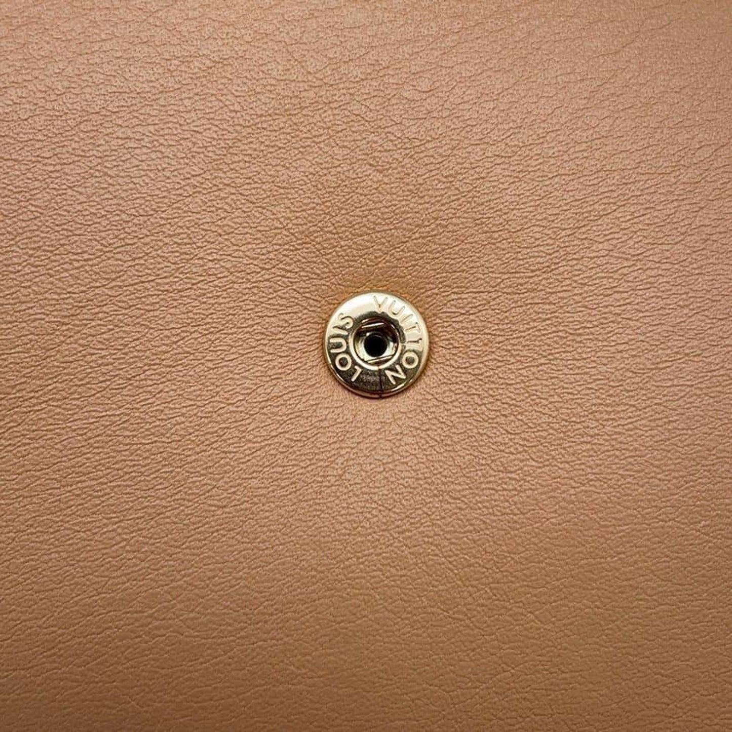 Louis Vuitton Camel Leather Shoulder Bag
