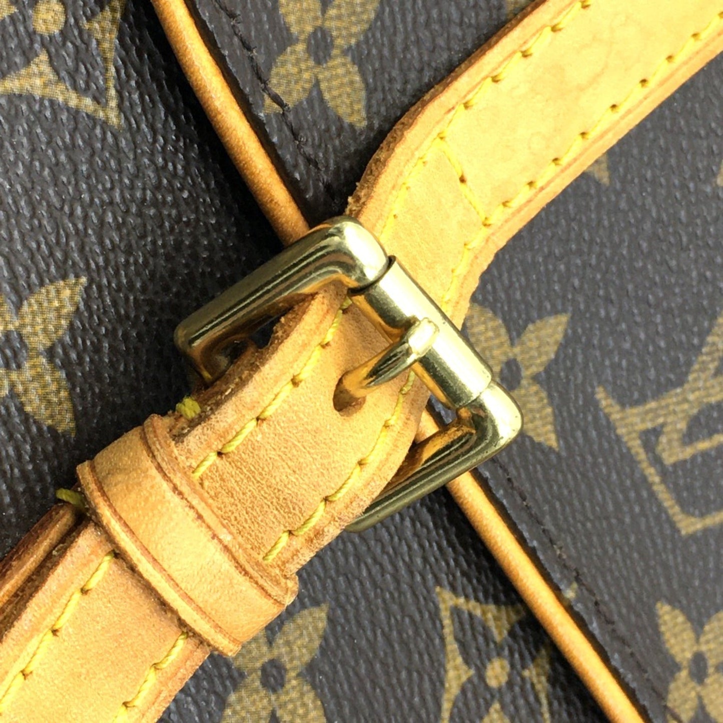 Louis Vuitton Brown Other Backpack